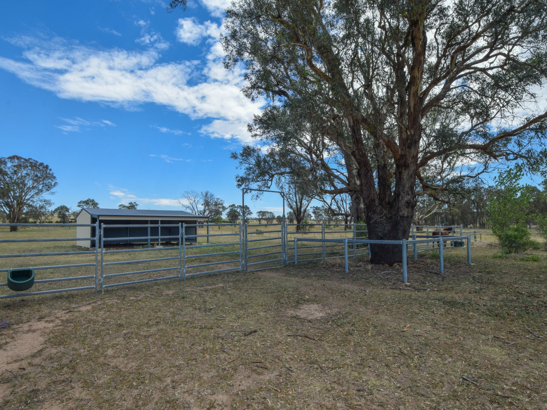 92 Wambanumba Drive, YOUNG