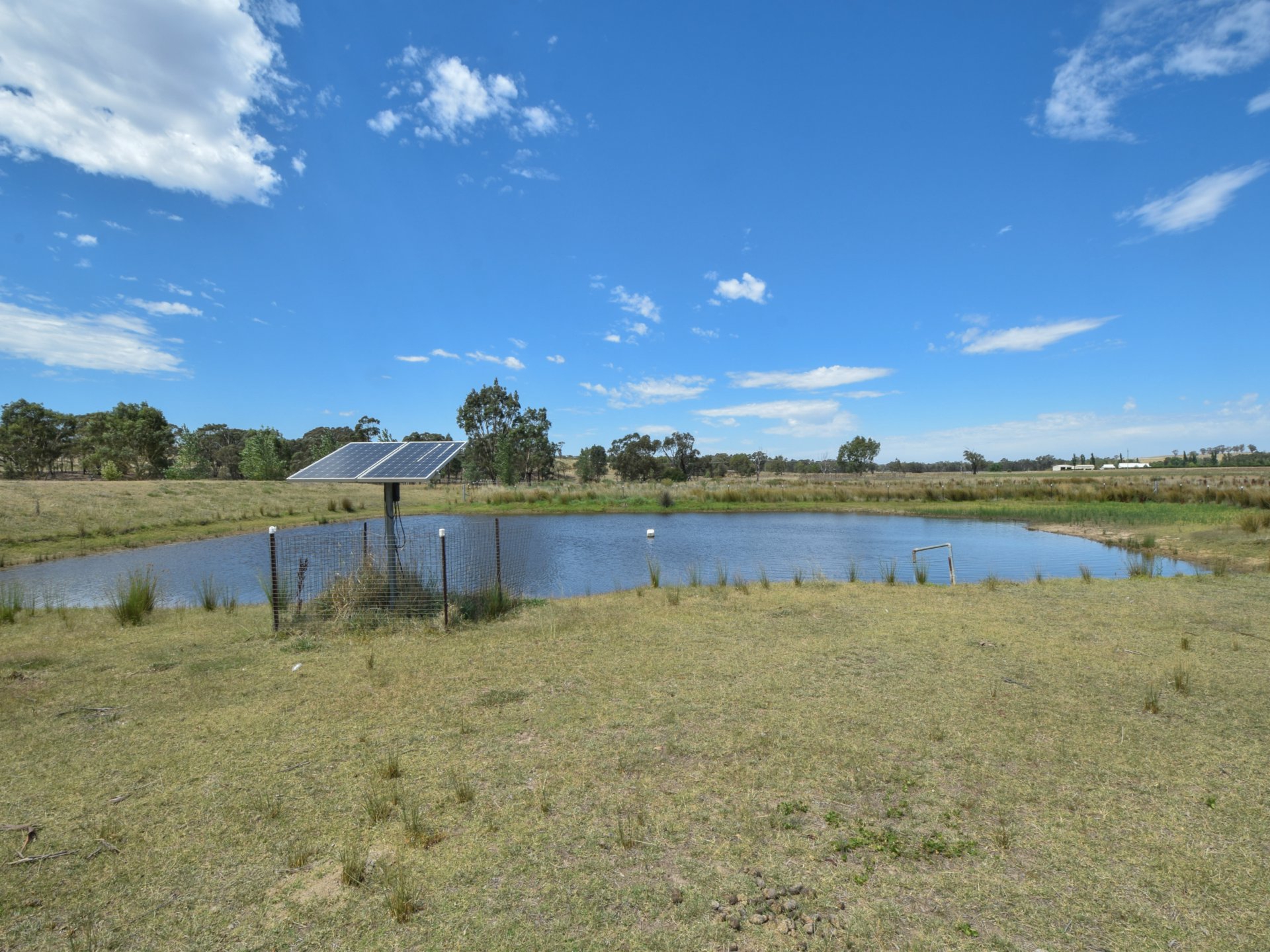 92 Wambanumba Drive, YOUNG
