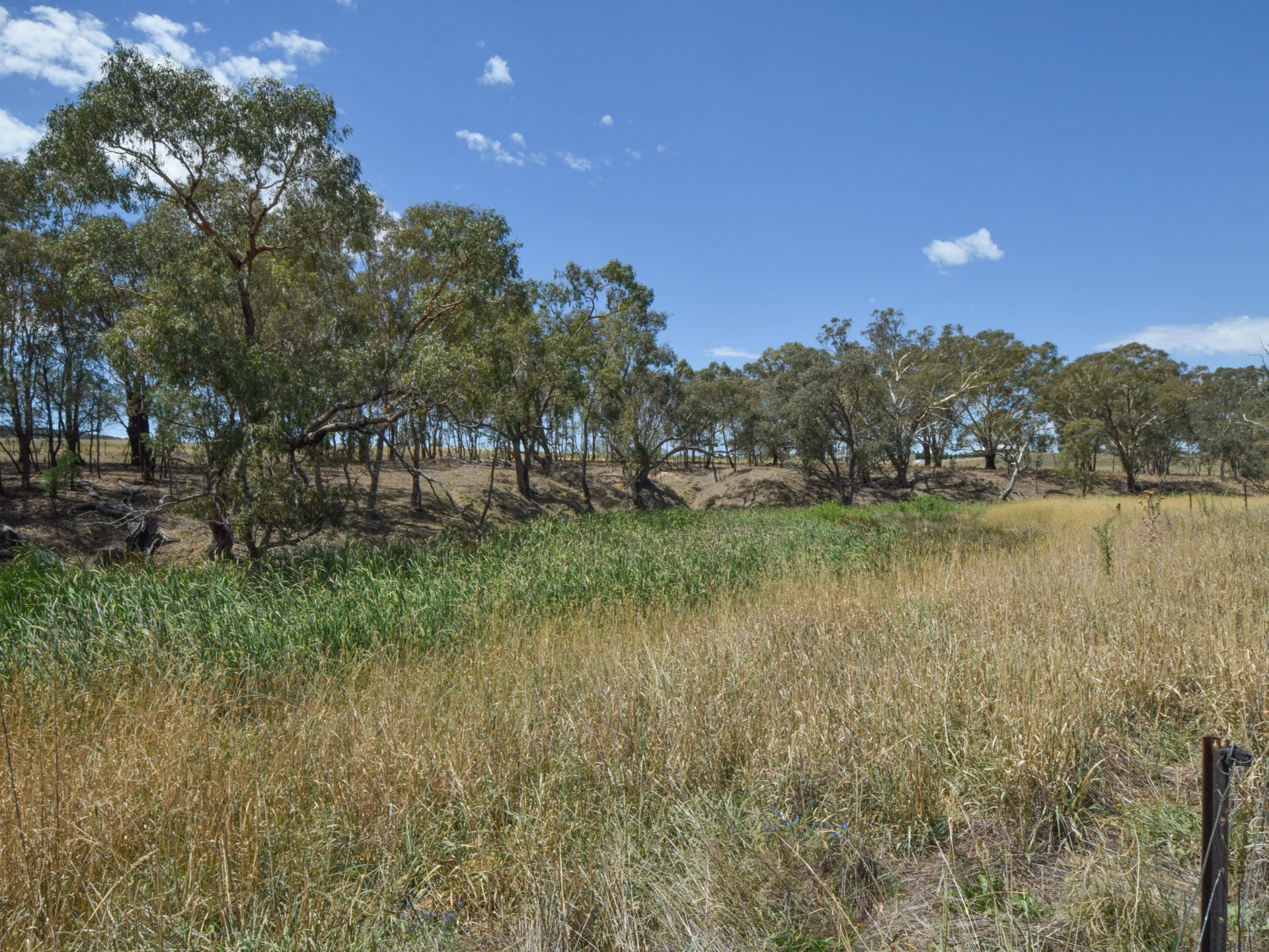 92 Wambanumba Drive, YOUNG