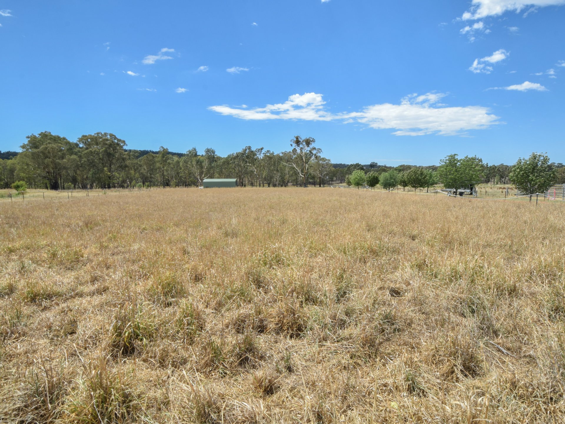 92 Wambanumba Drive, YOUNG