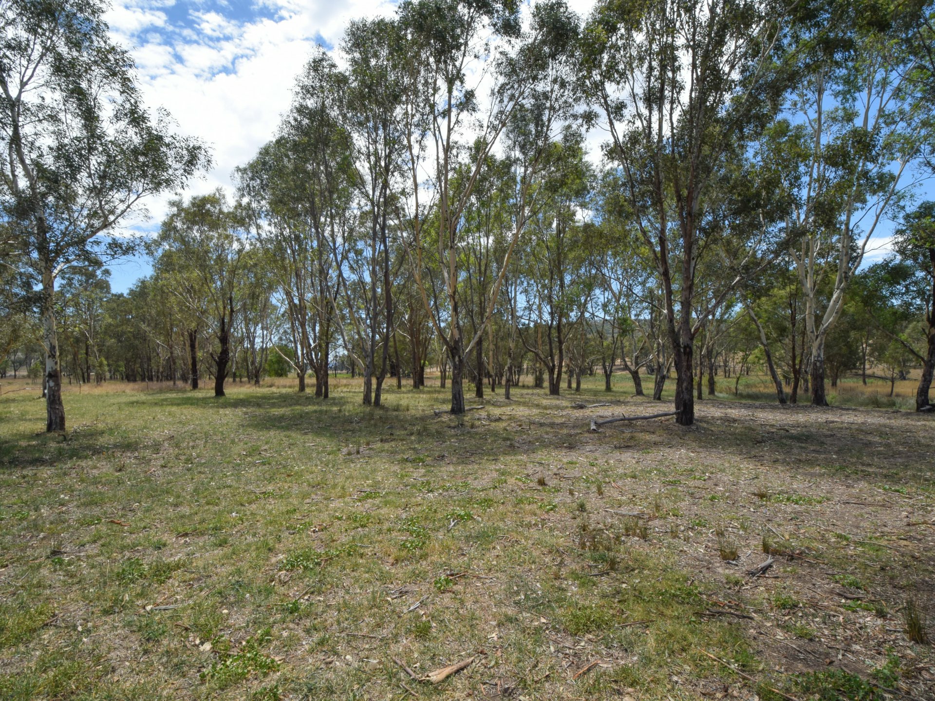 92 Wambanumba Drive, YOUNG