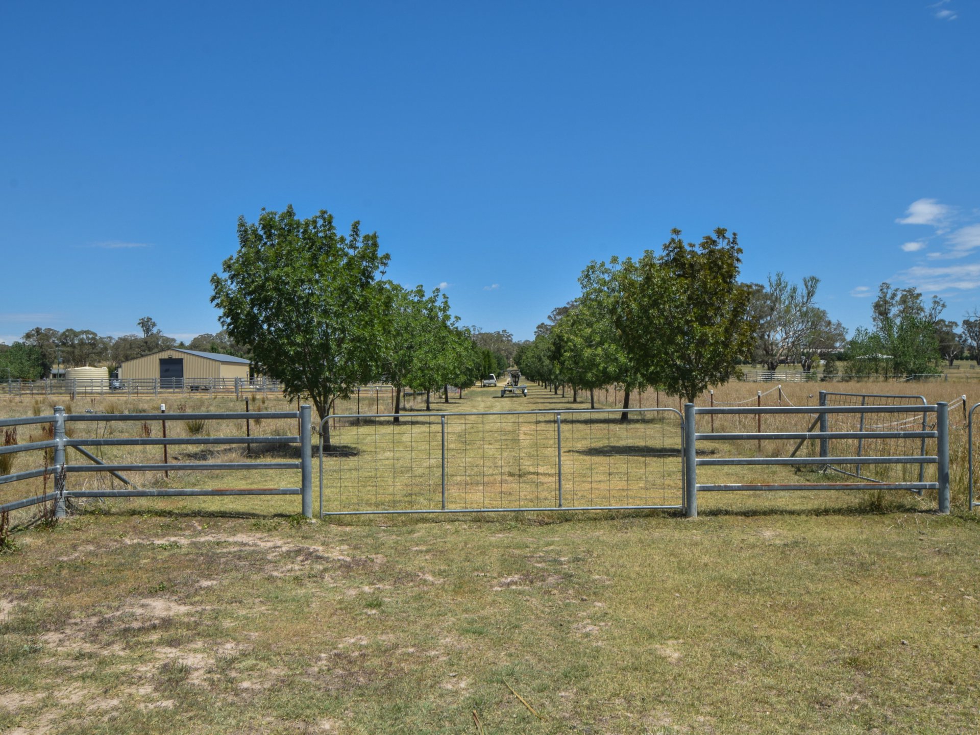 92 Wambanumba Drive, YOUNG