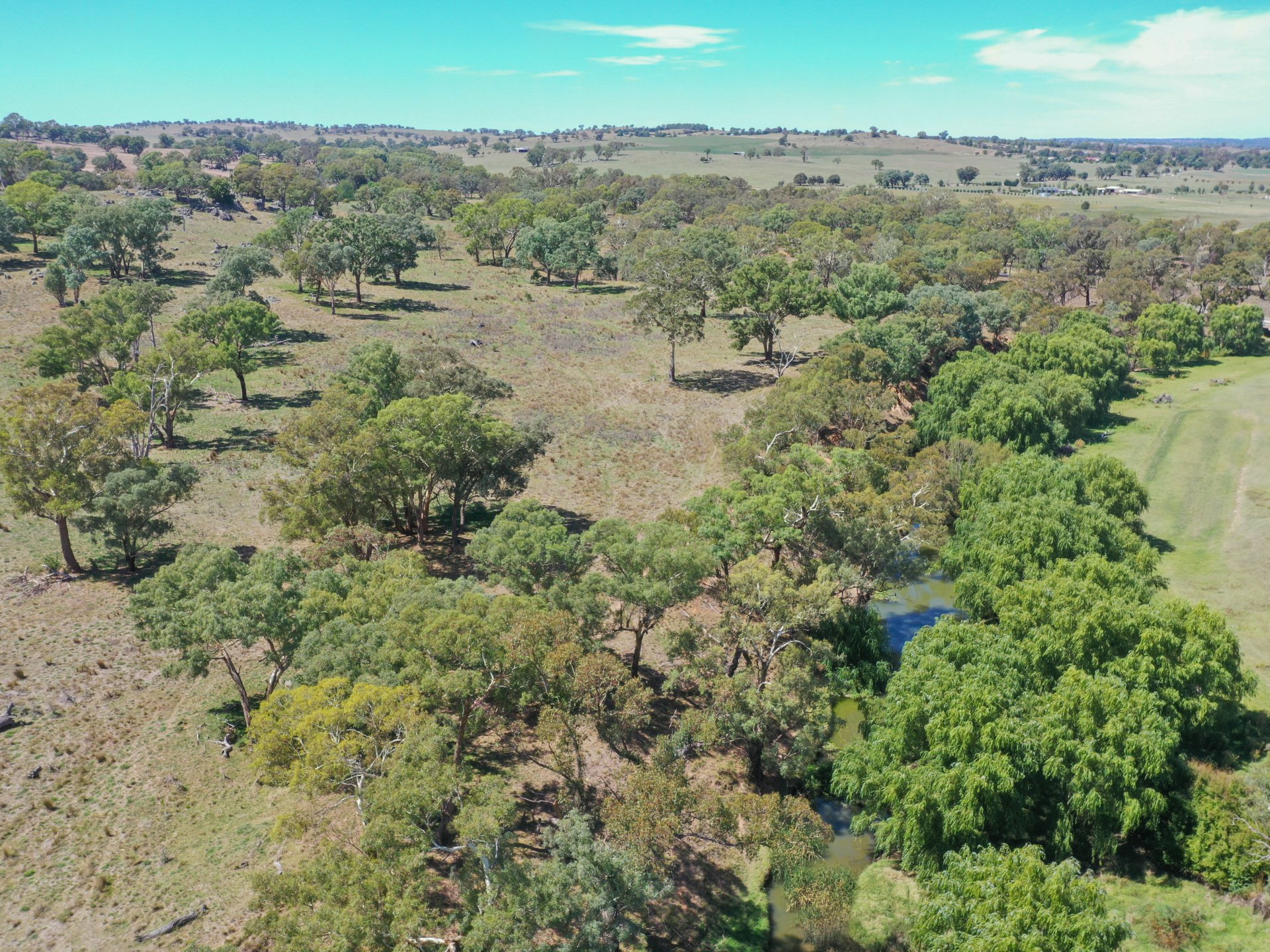 1089 Henry Lawson Way, YOUNG