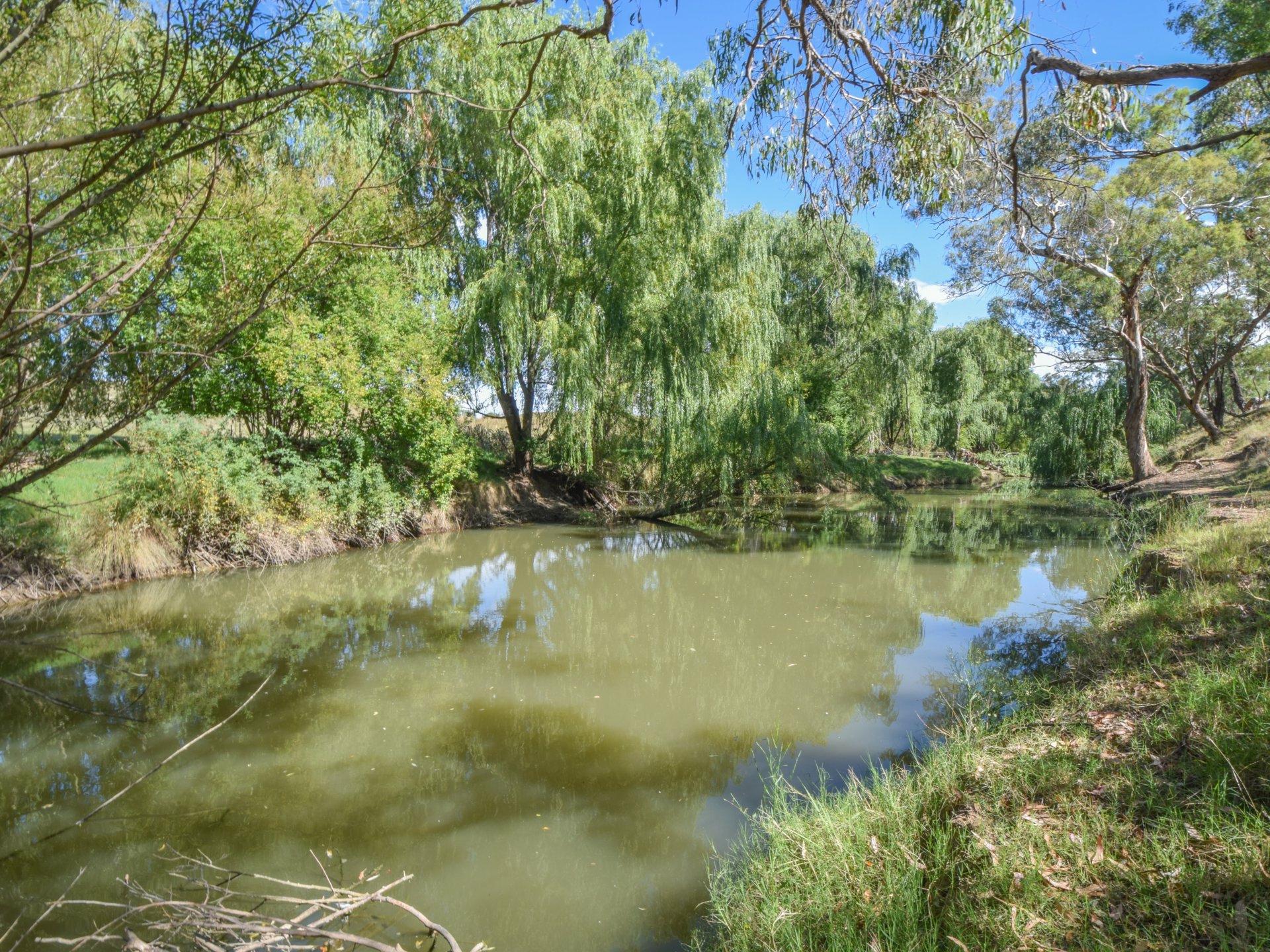 1089 Henry Lawson Way, YOUNG