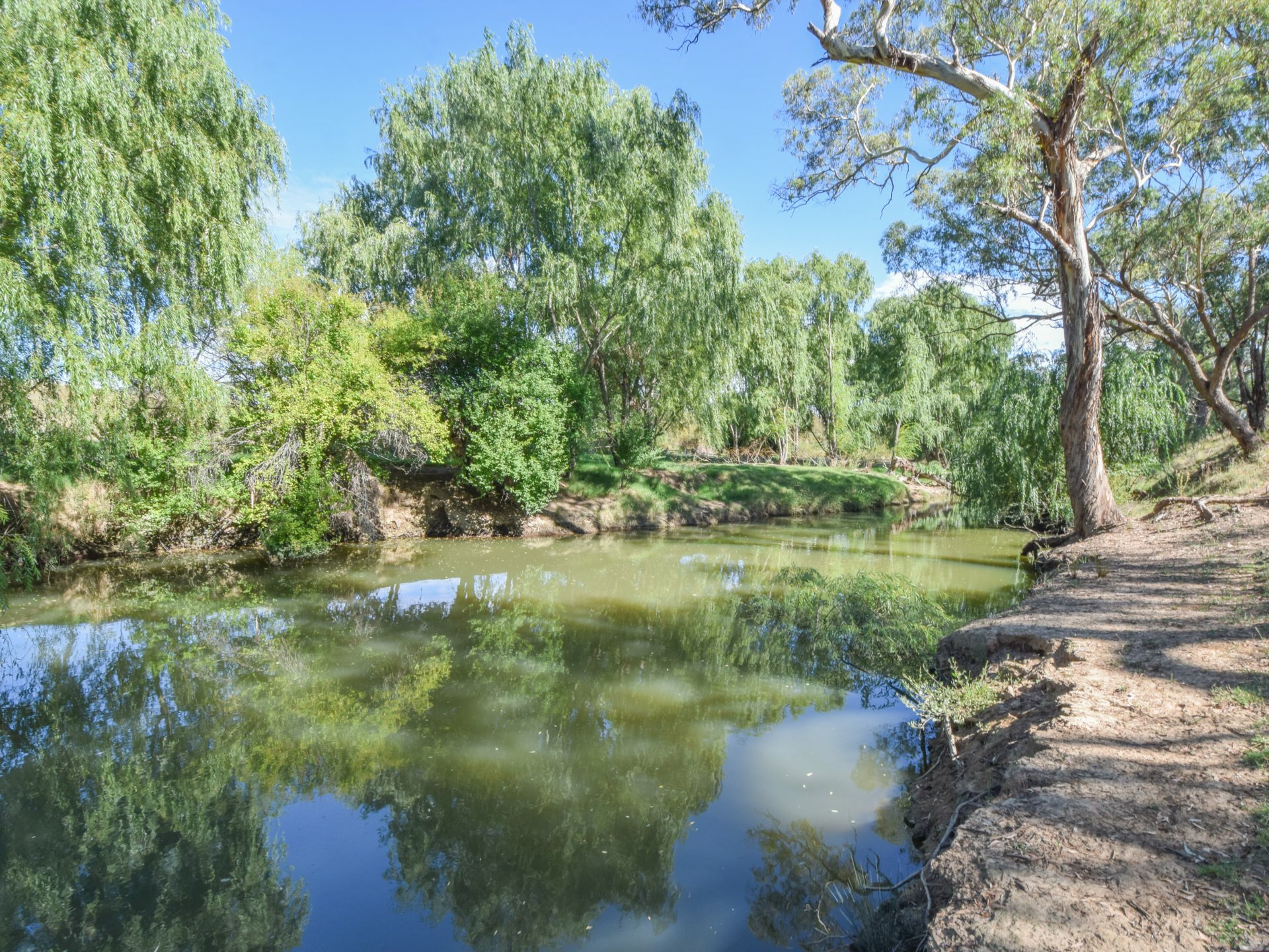 1089 Henry Lawson Way, YOUNG