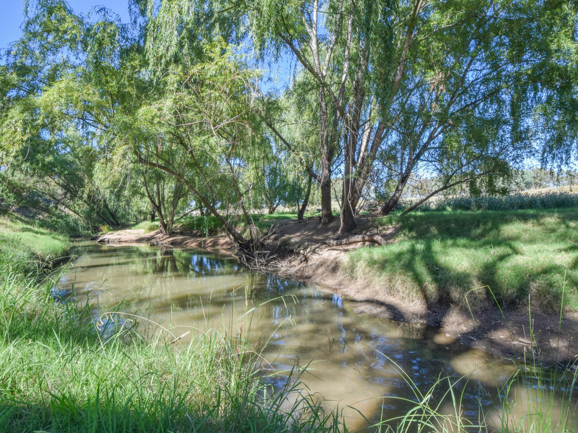 1089 Henry Lawson Way, YOUNG