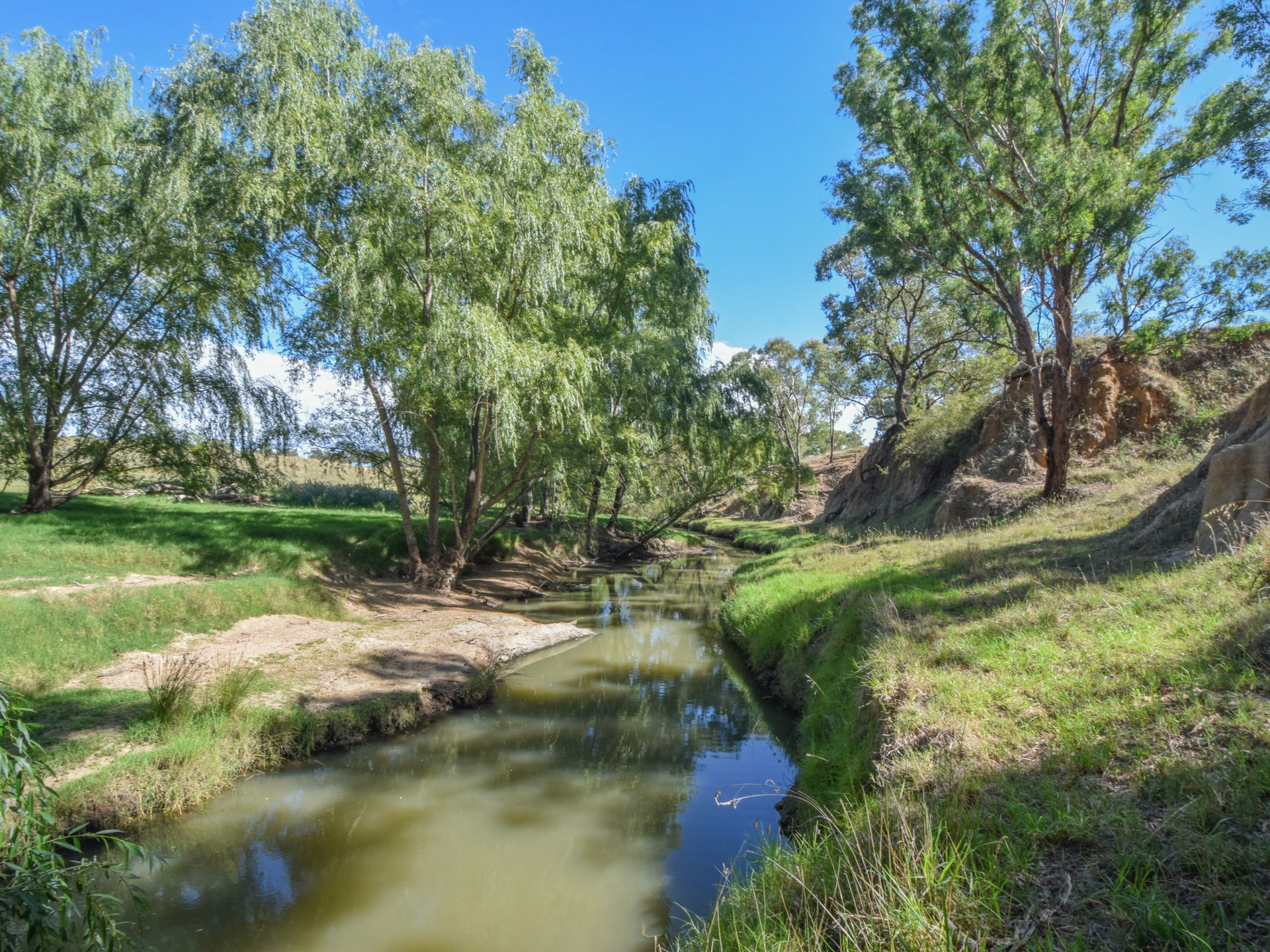 1089 Henry Lawson Way, YOUNG