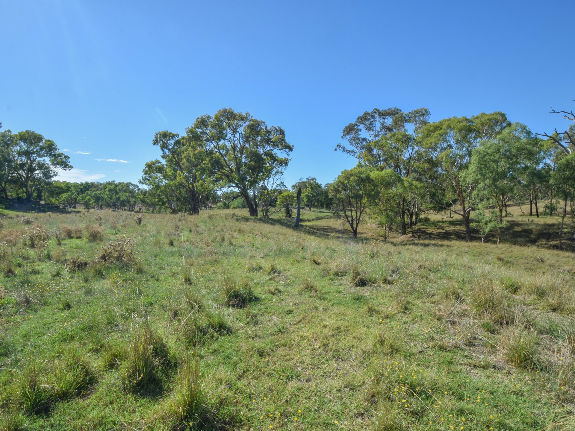 1089 Henry Lawson Way, YOUNG