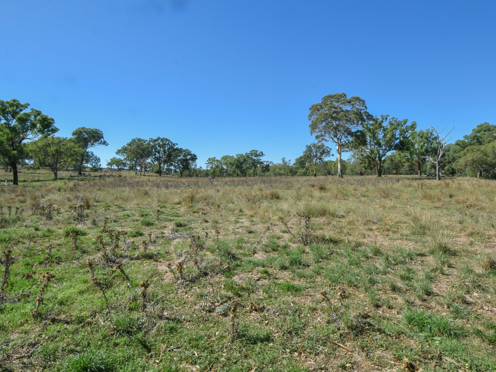 1089 Henry Lawson Way, YOUNG