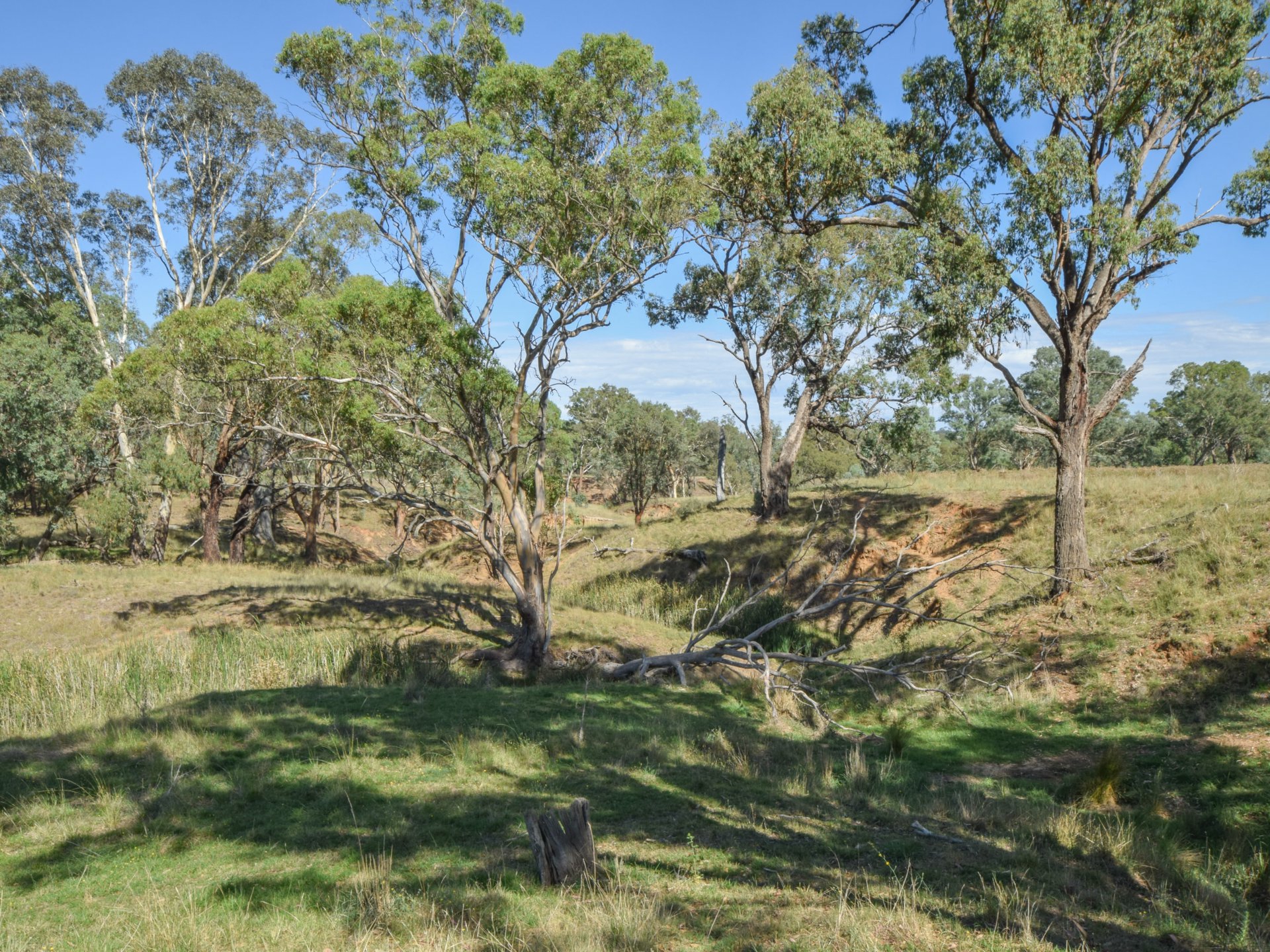 1089 Henry Lawson Way, YOUNG