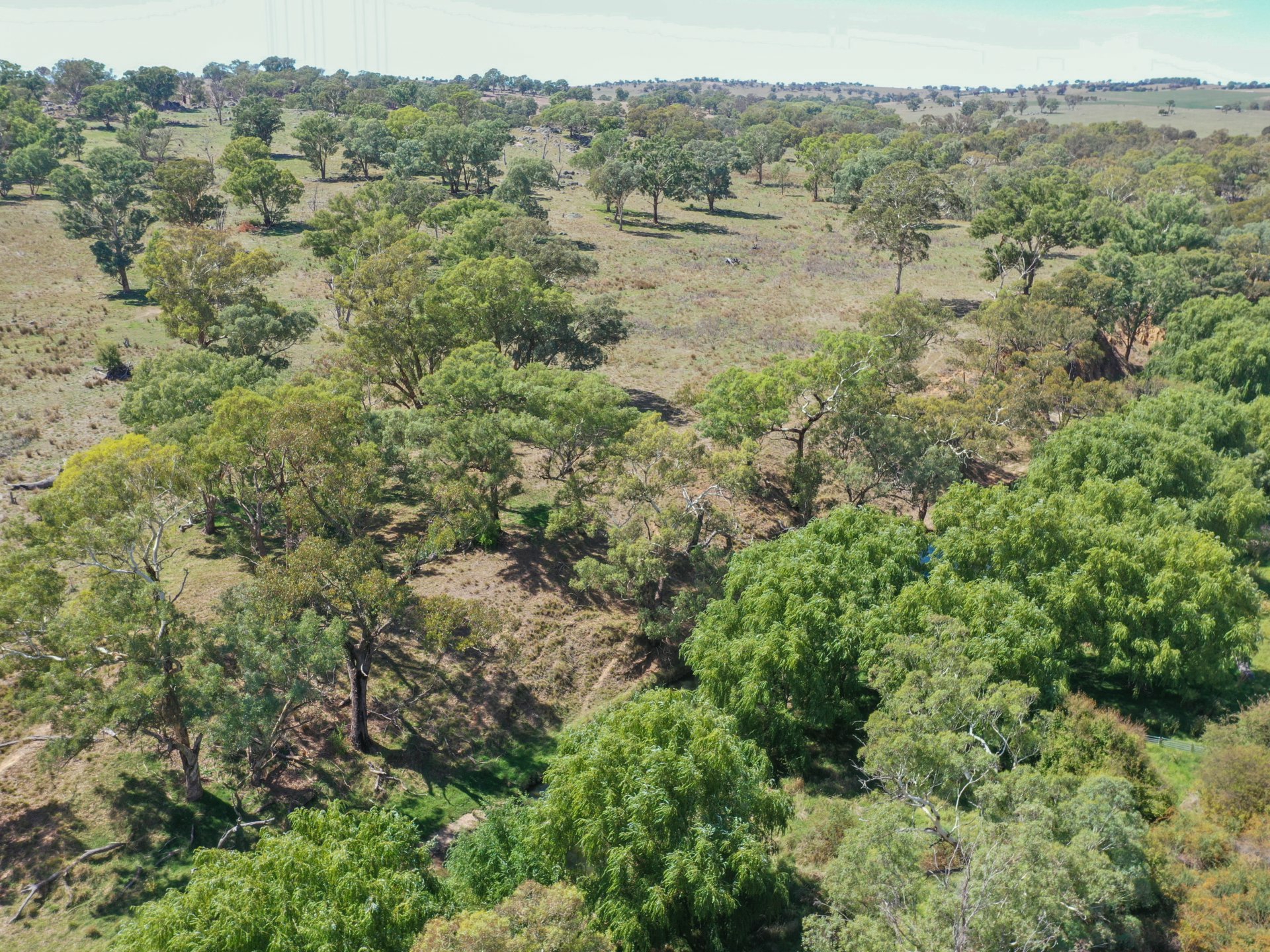 1089 Henry Lawson Way, YOUNG