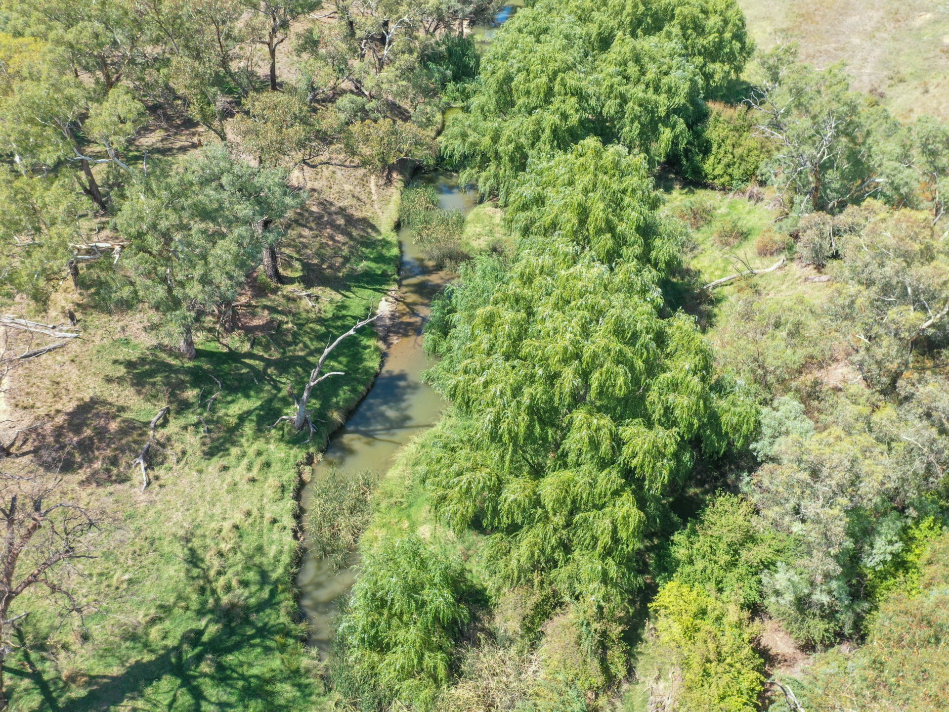 1089 Henry Lawson Way, YOUNG
