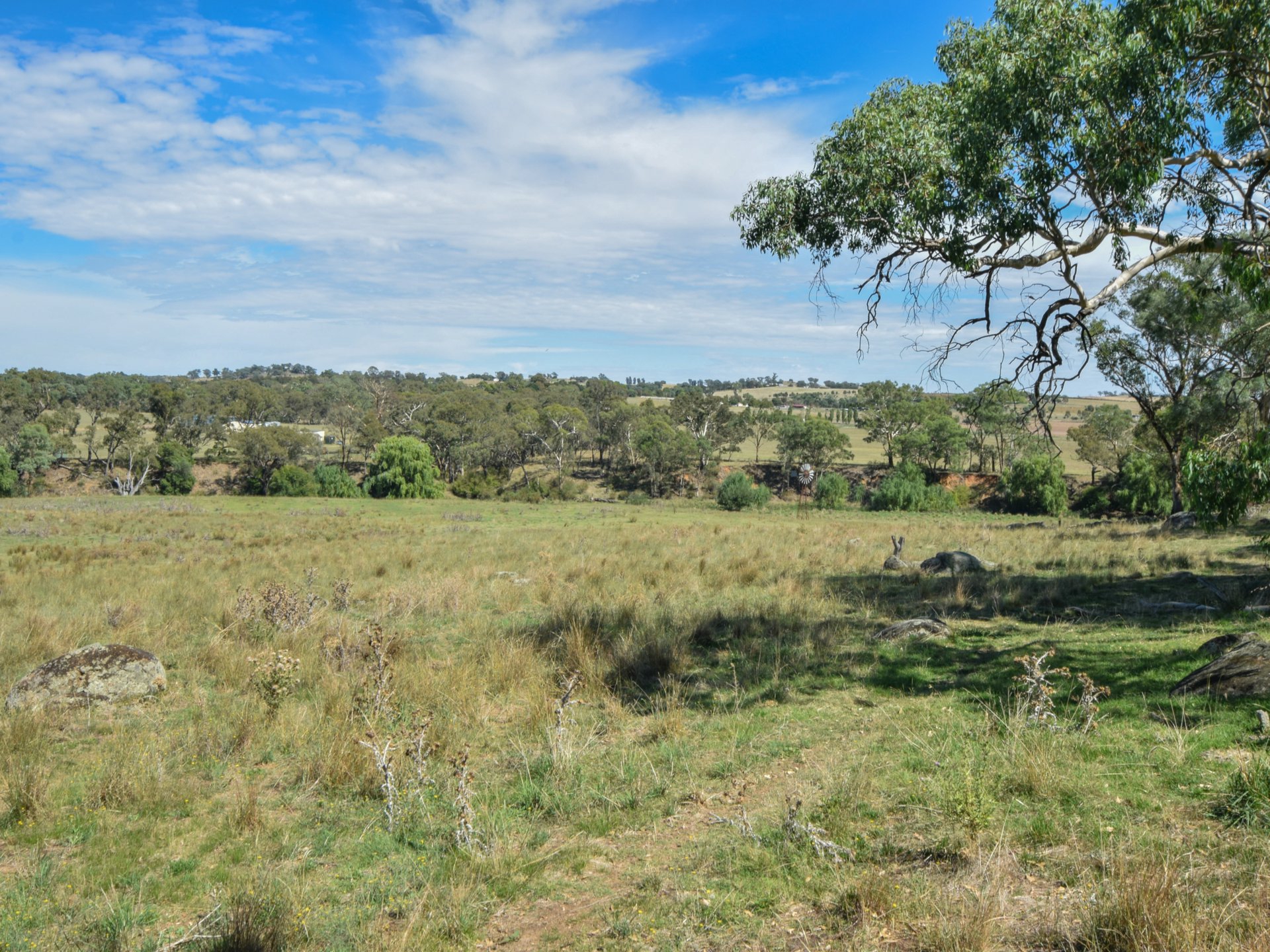 1089 Henry Lawson Way, YOUNG
