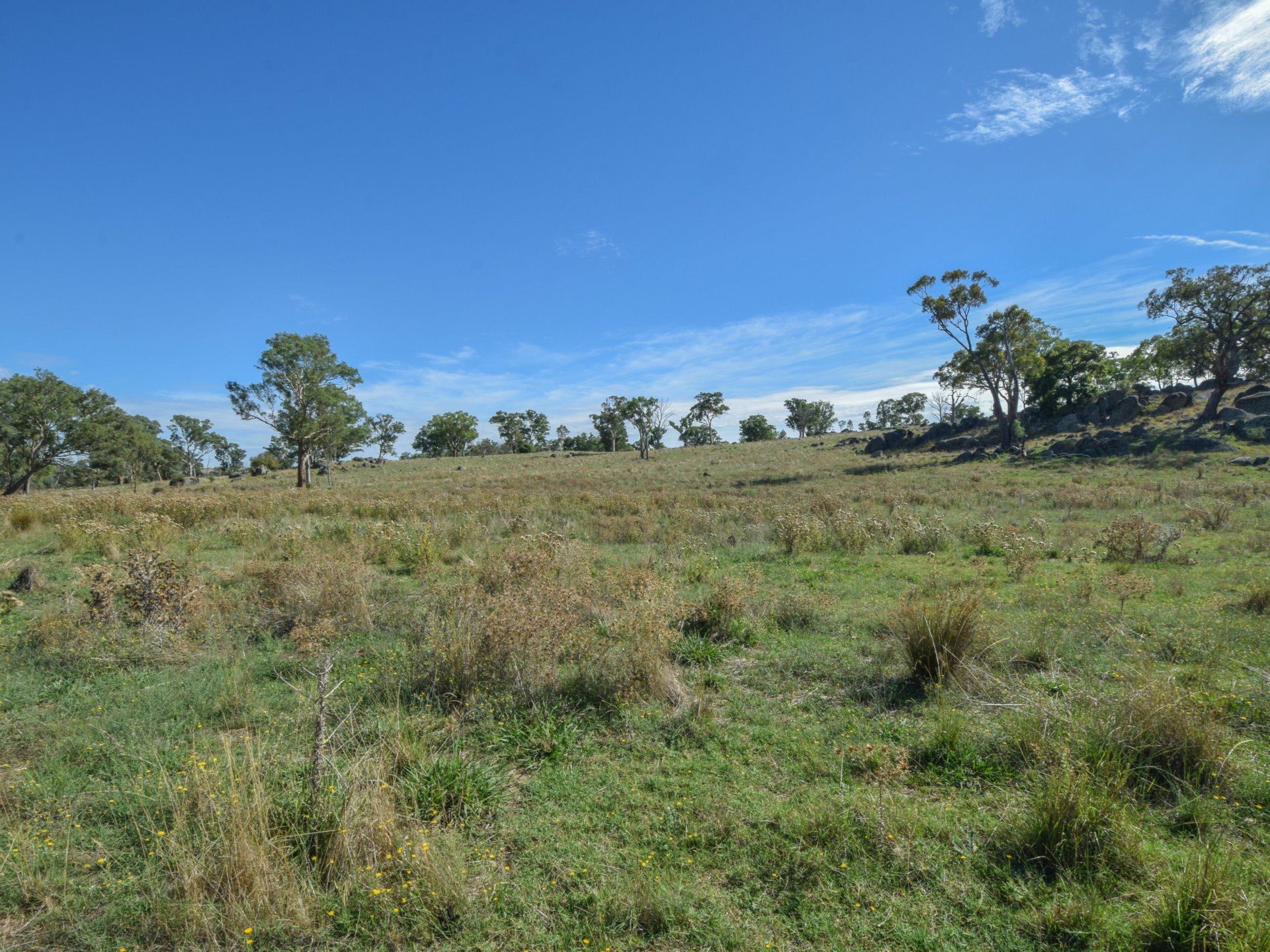 1089 Henry Lawson Way, YOUNG
