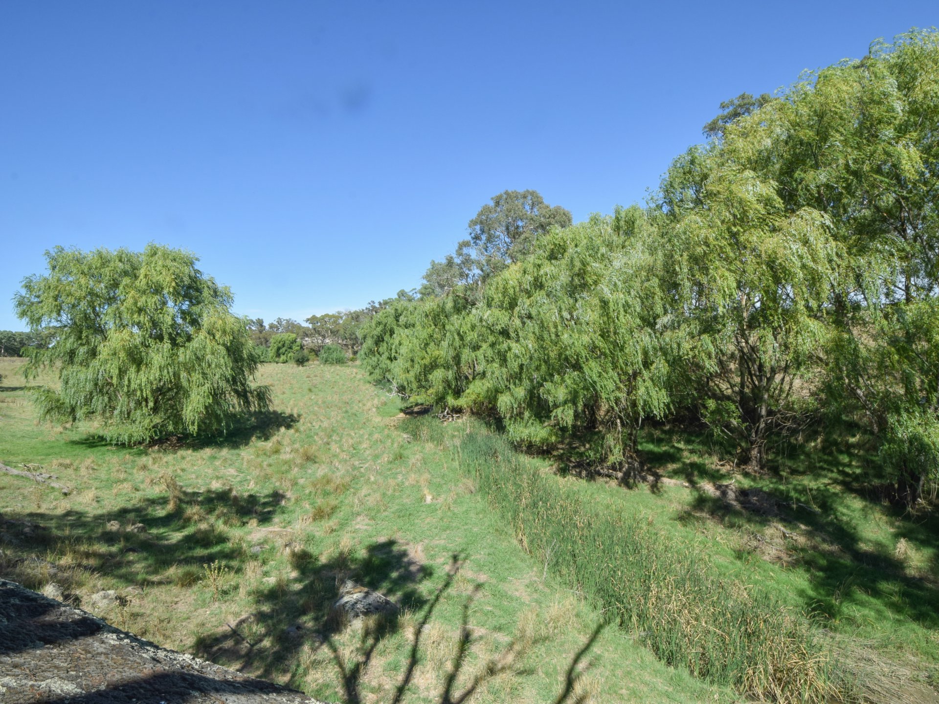 1089 Henry Lawson Way, YOUNG