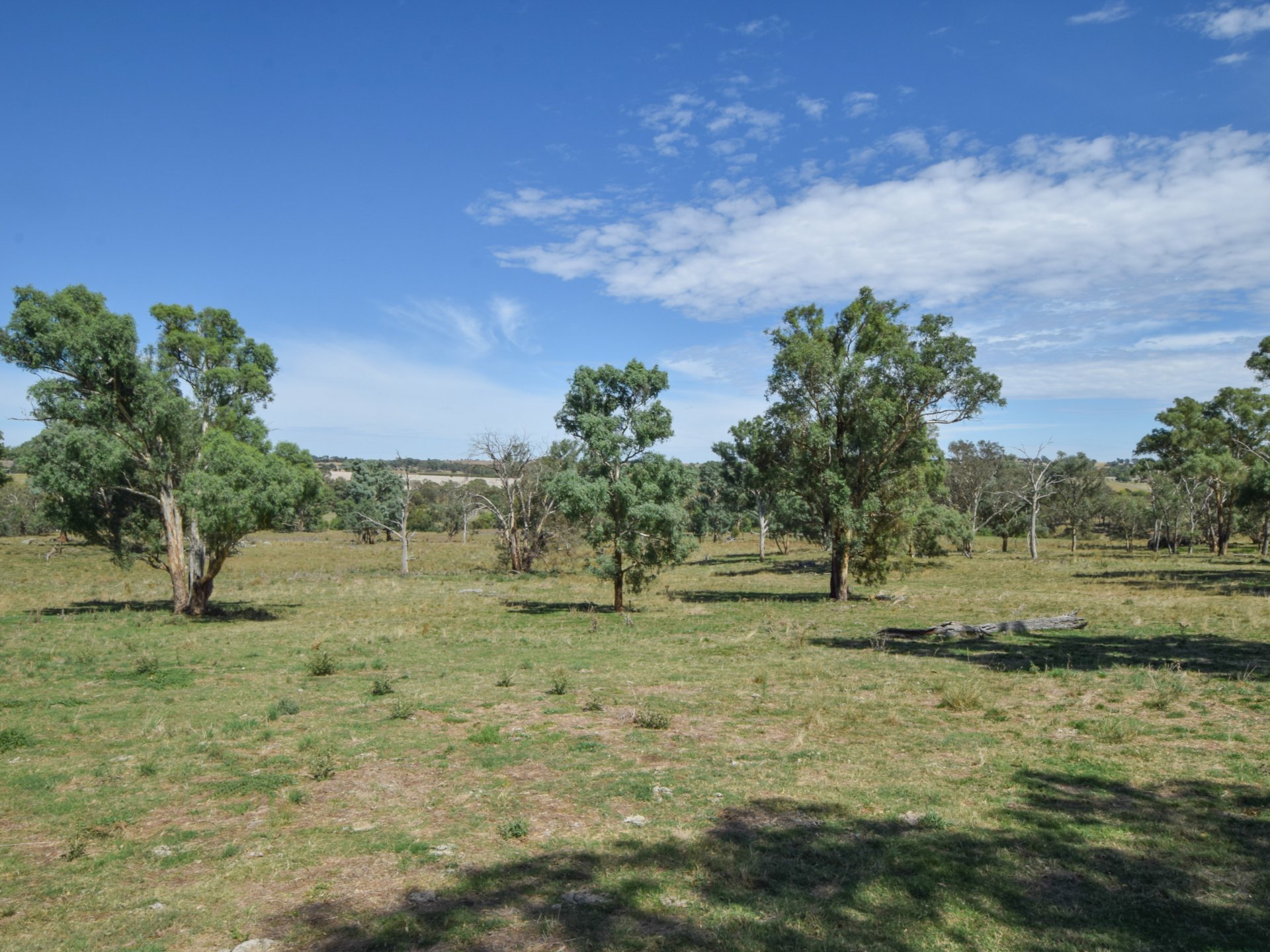 1089 Henry Lawson Way, YOUNG