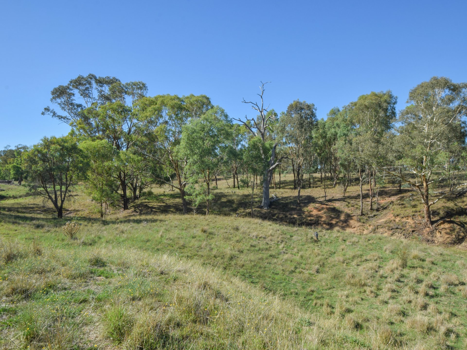 1089 Henry Lawson Way, YOUNG