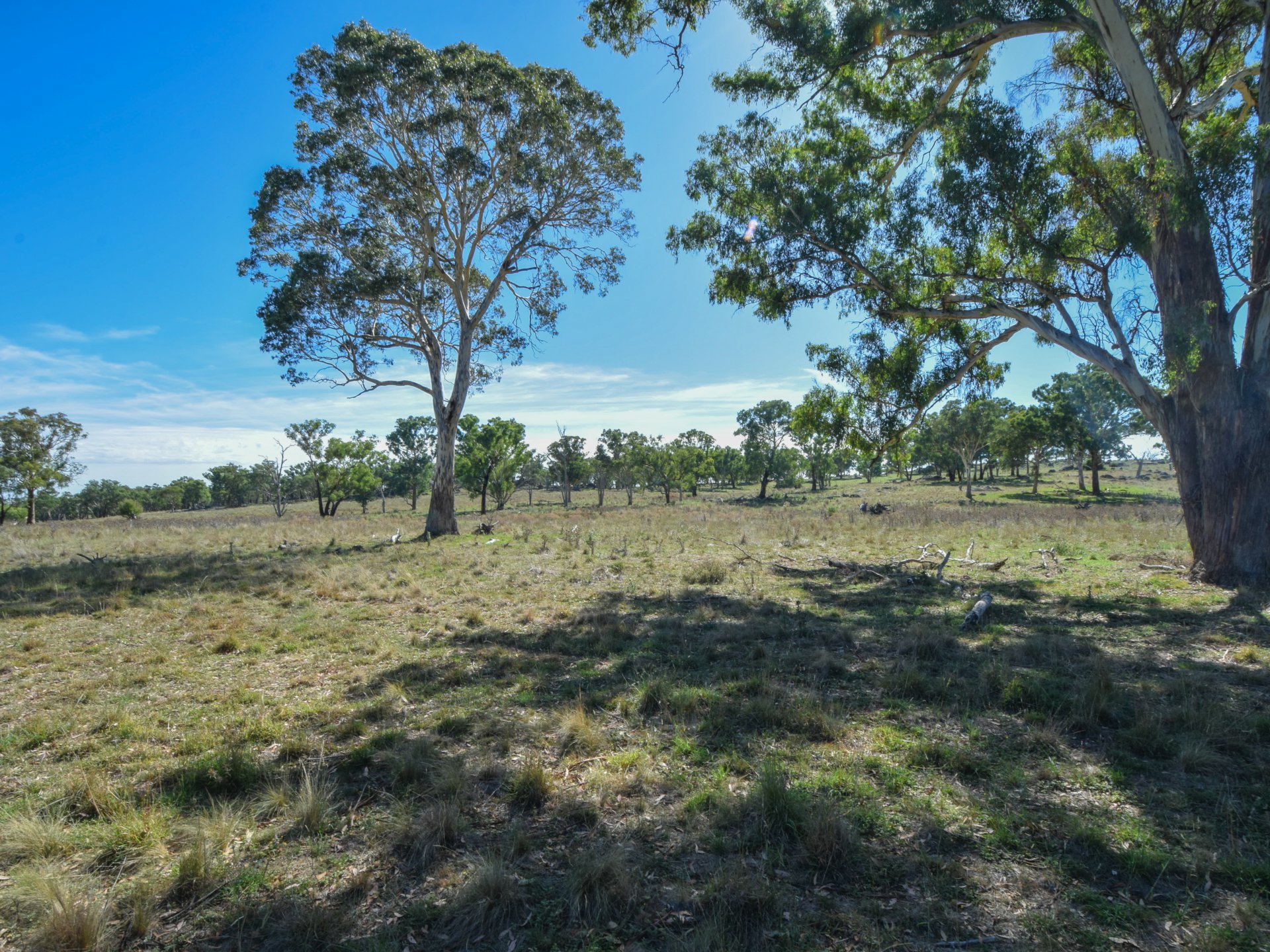 1089 Henry Lawson Way, YOUNG