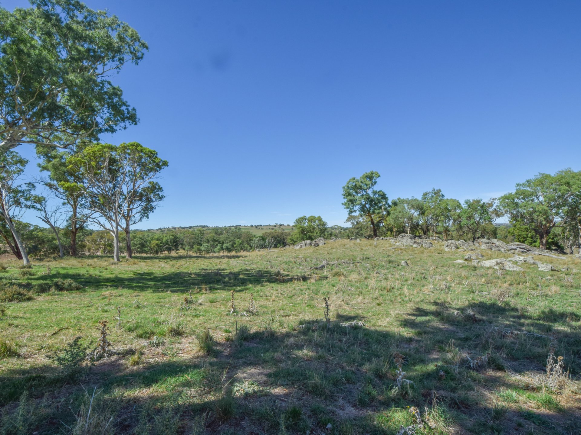 1089 Henry Lawson Way, YOUNG