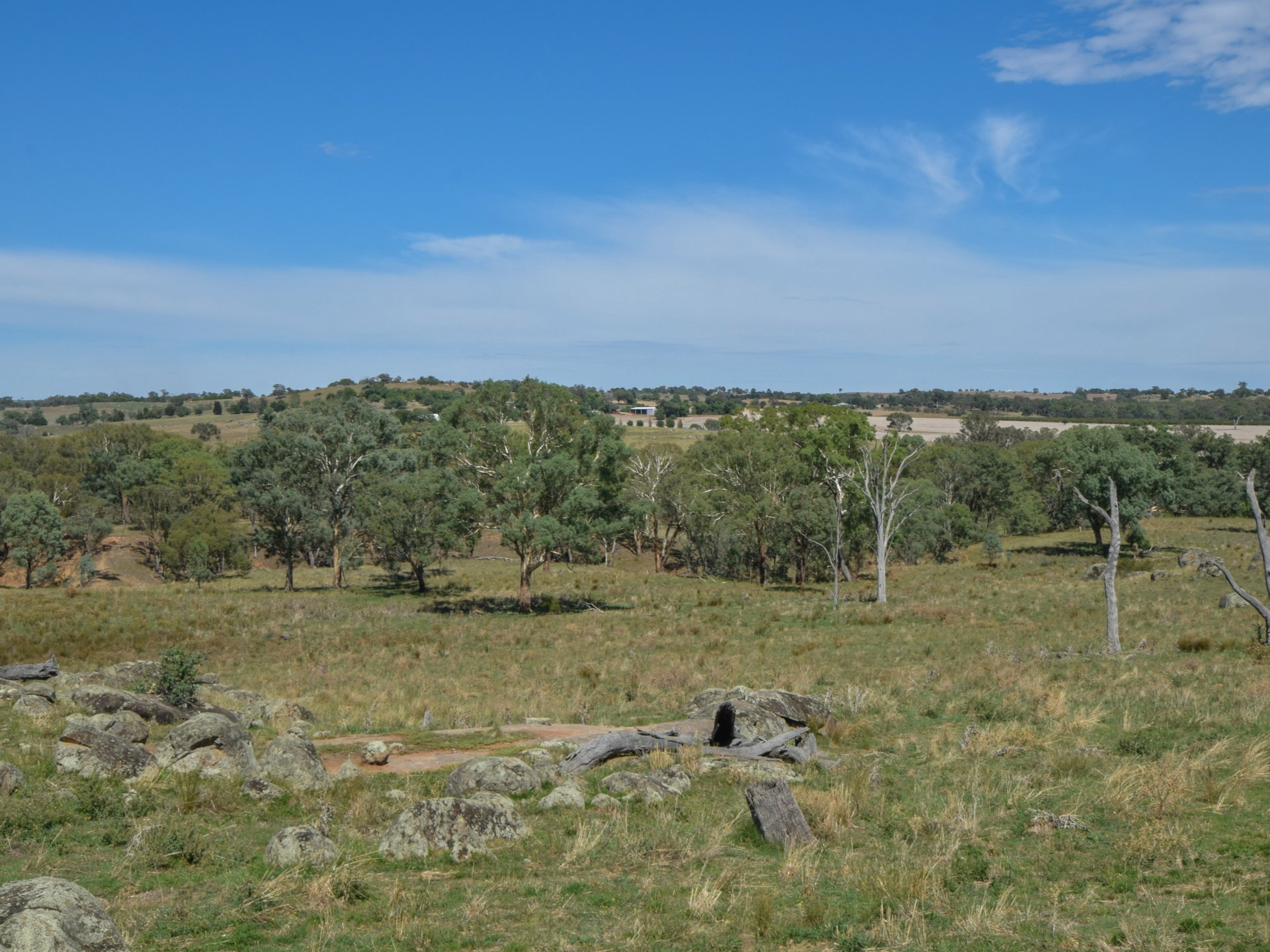 1089 Henry Lawson Way, YOUNG