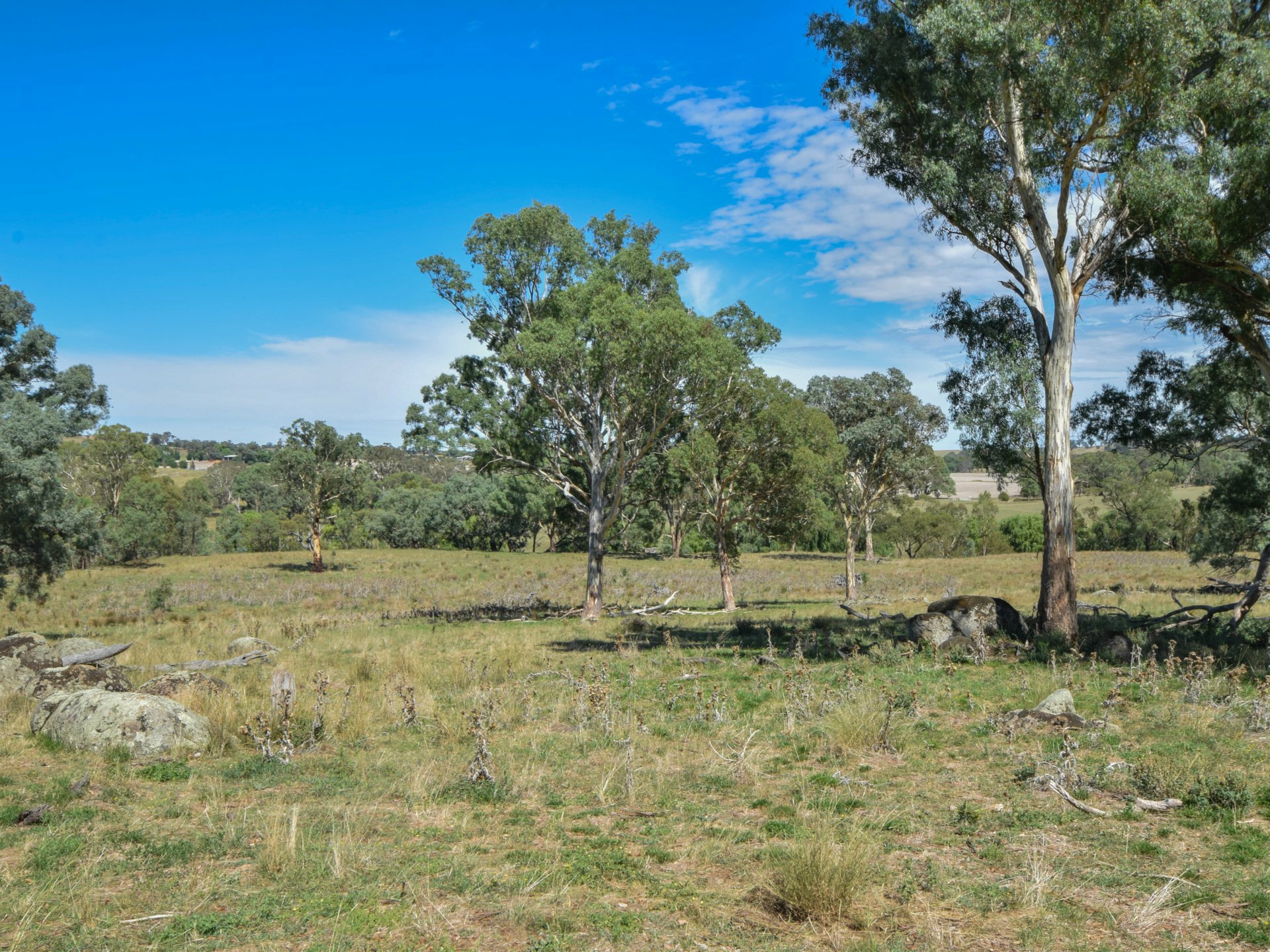 1089 Henry Lawson Way, YOUNG