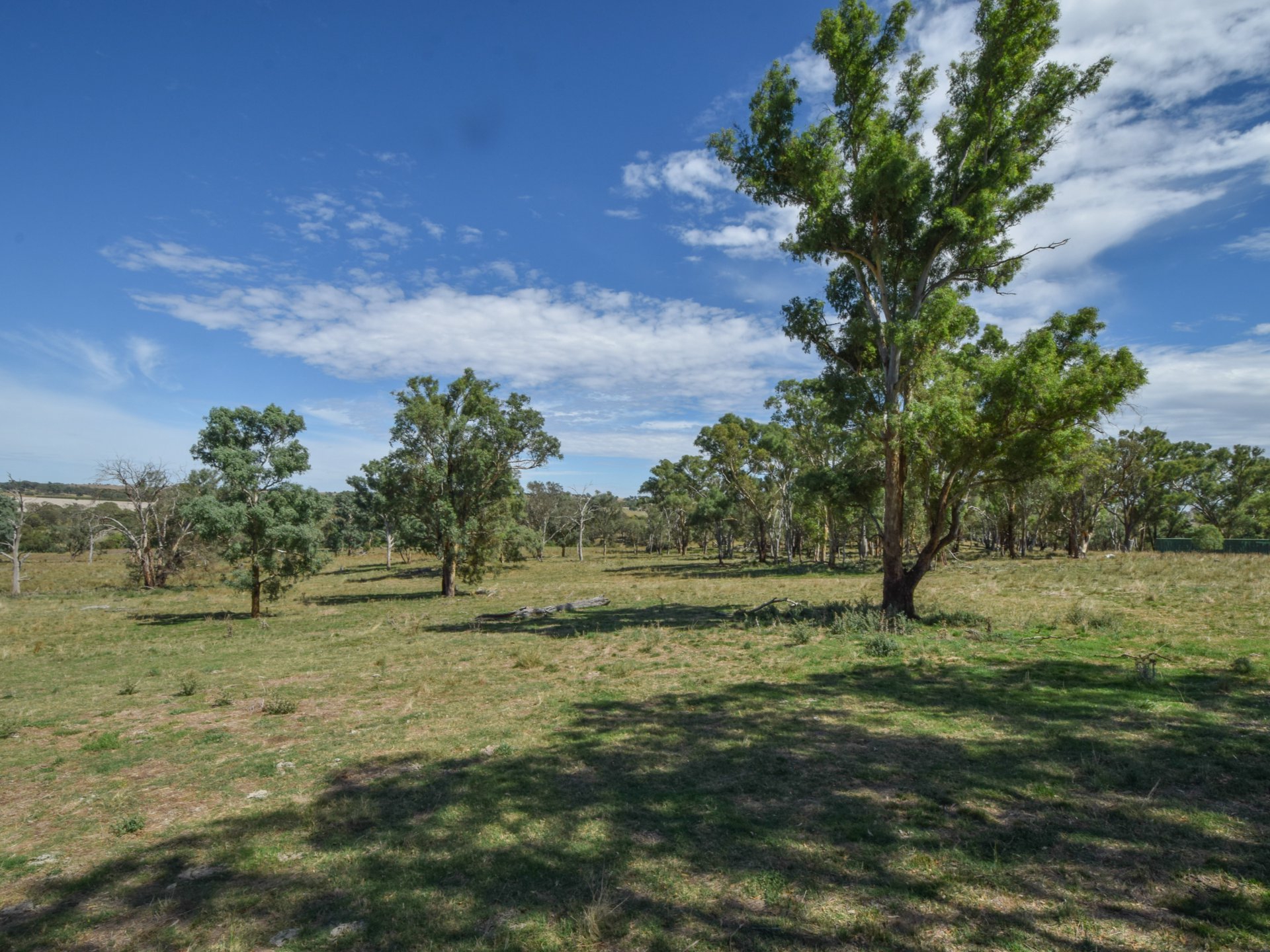 1089 Henry Lawson Way, YOUNG