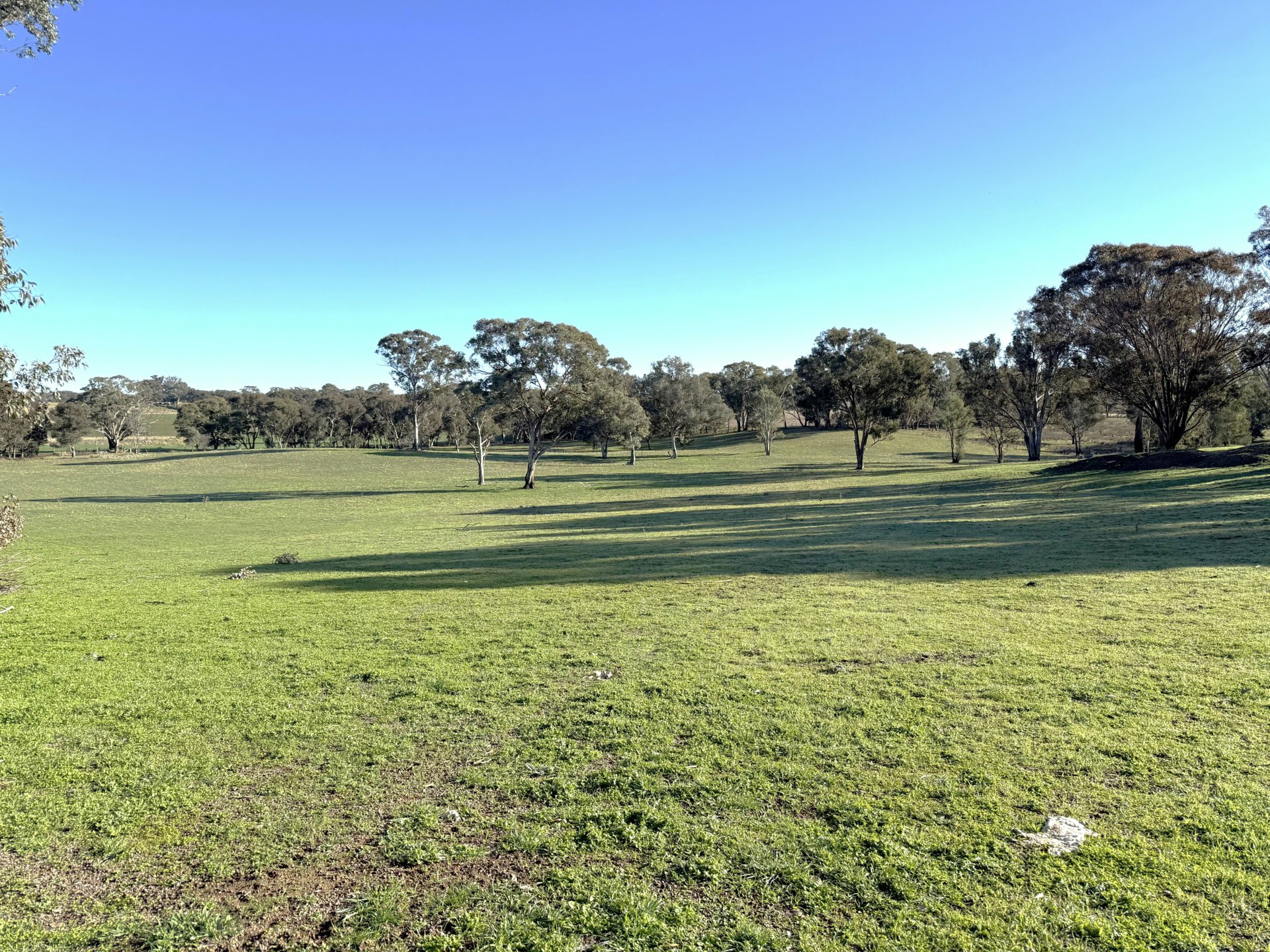 146 Bibaringa Road Wombat NSW - Property Details - LJ Hooker
