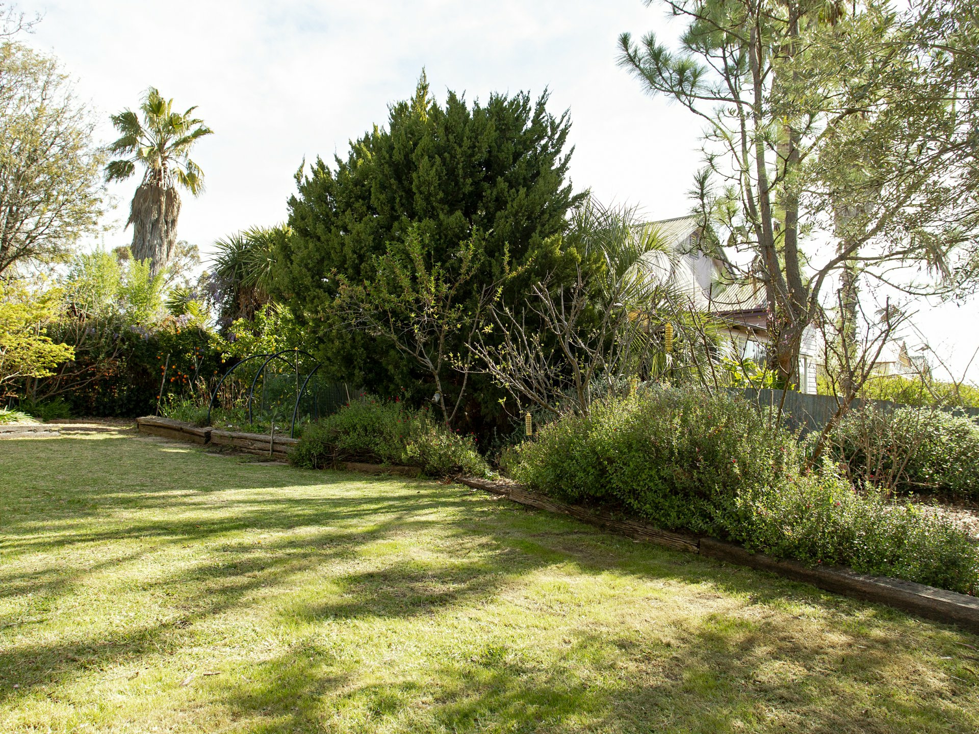1 Lynch Street, Young