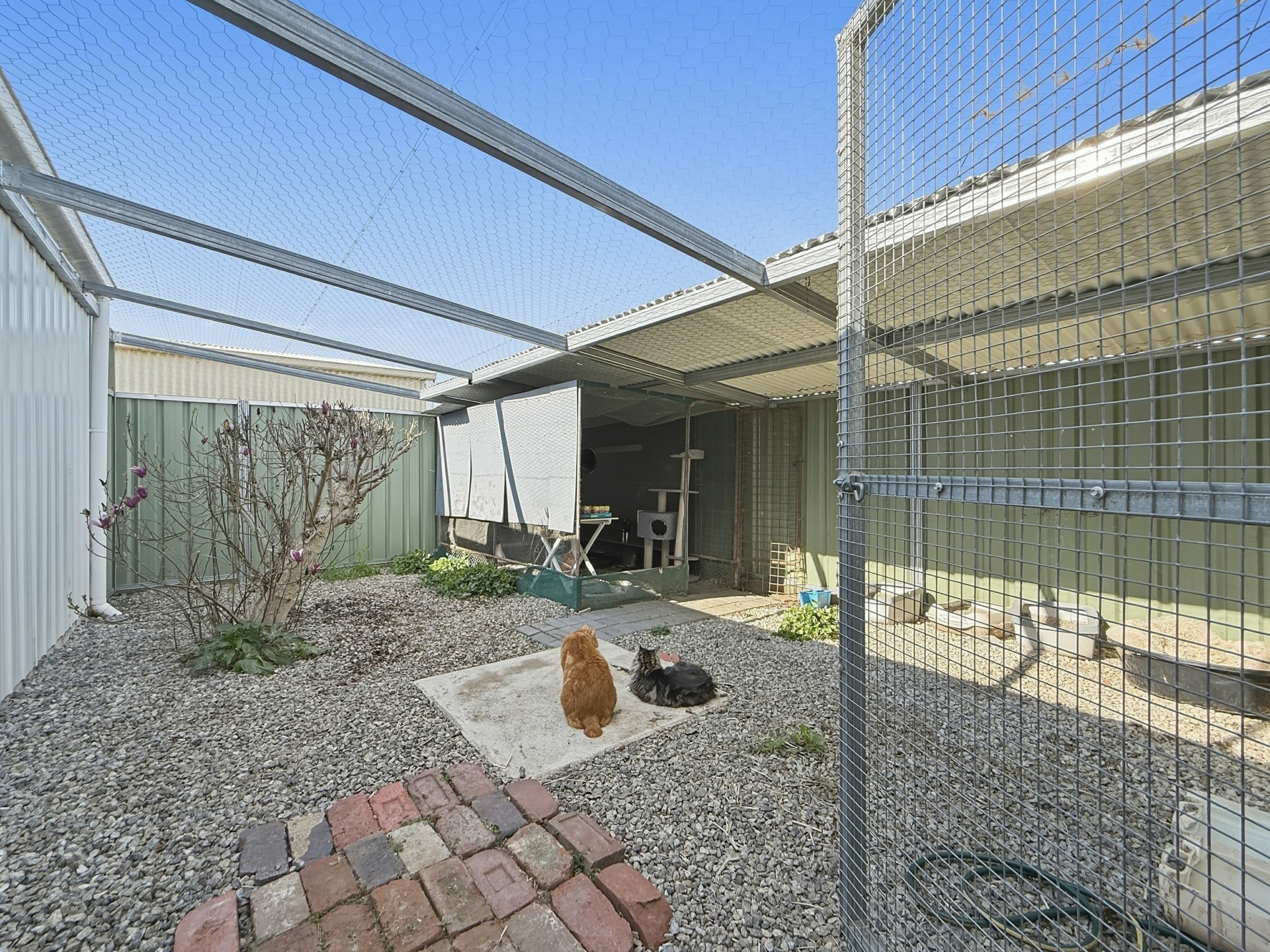 34 Wombat Street — photo 22 of 27
