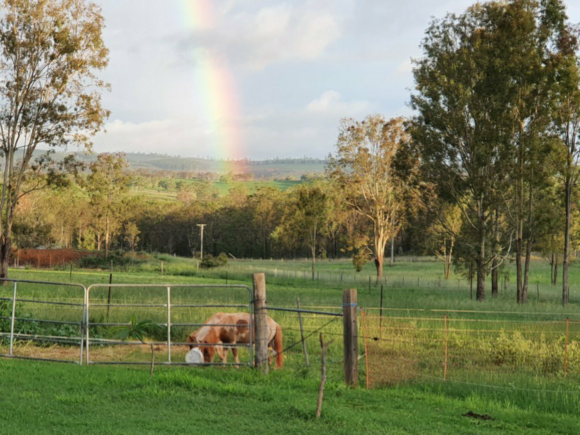 4355 Kingaroy Cooyar Road Maidenwell QLD
