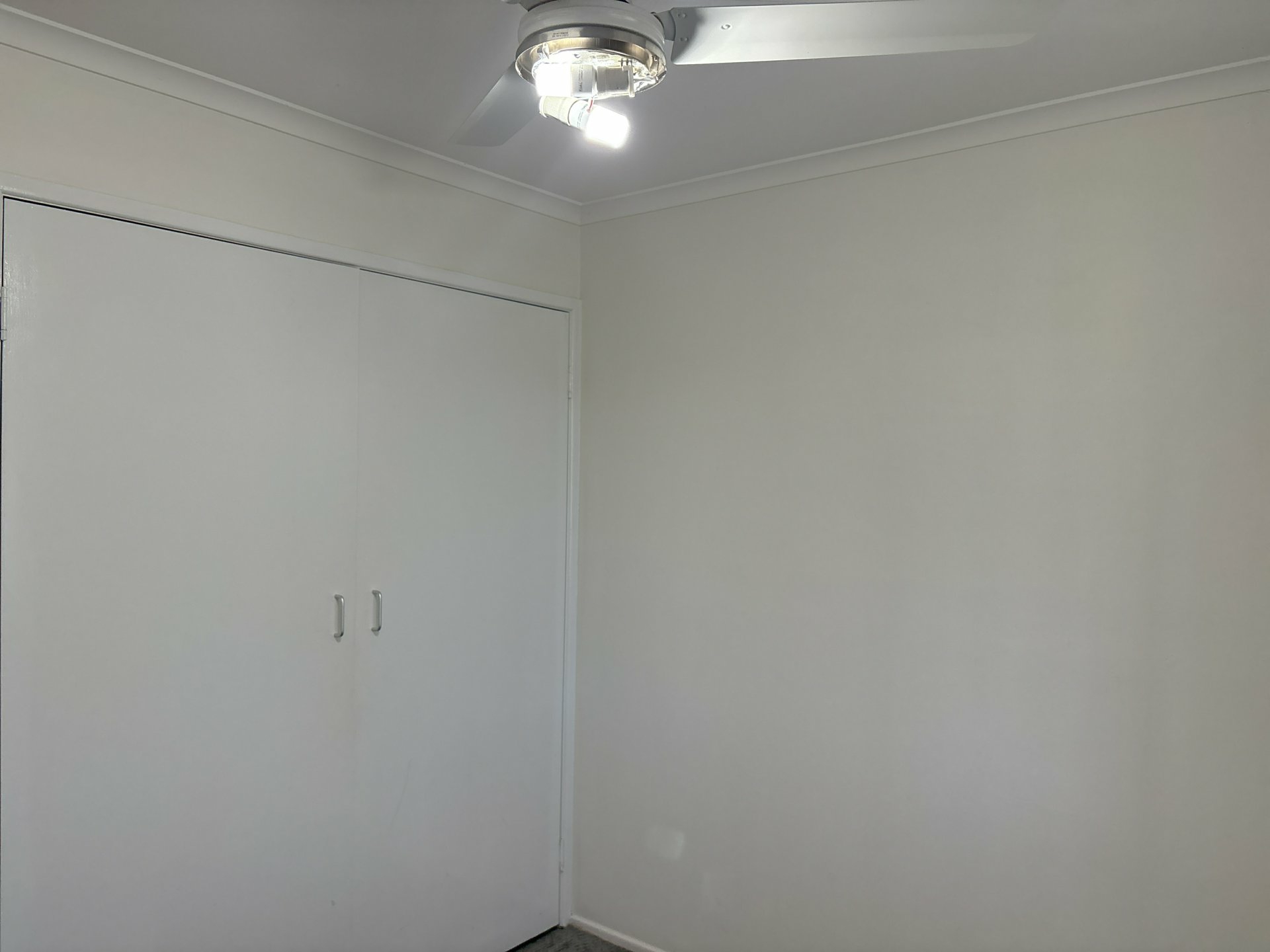 7 Wills St West — photo 17 of 28