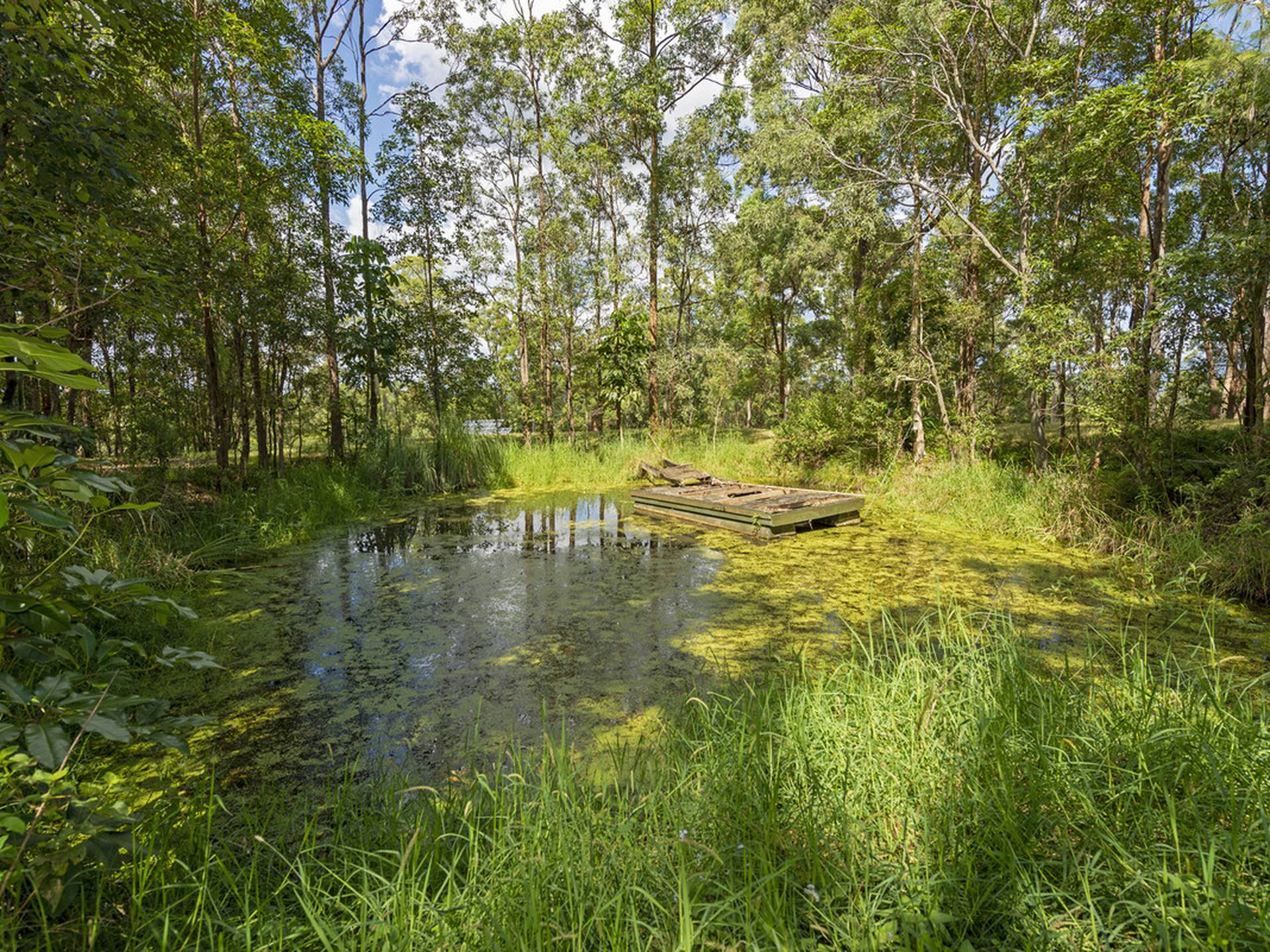175 Brygon Creek Drive, UPPER COOMERA