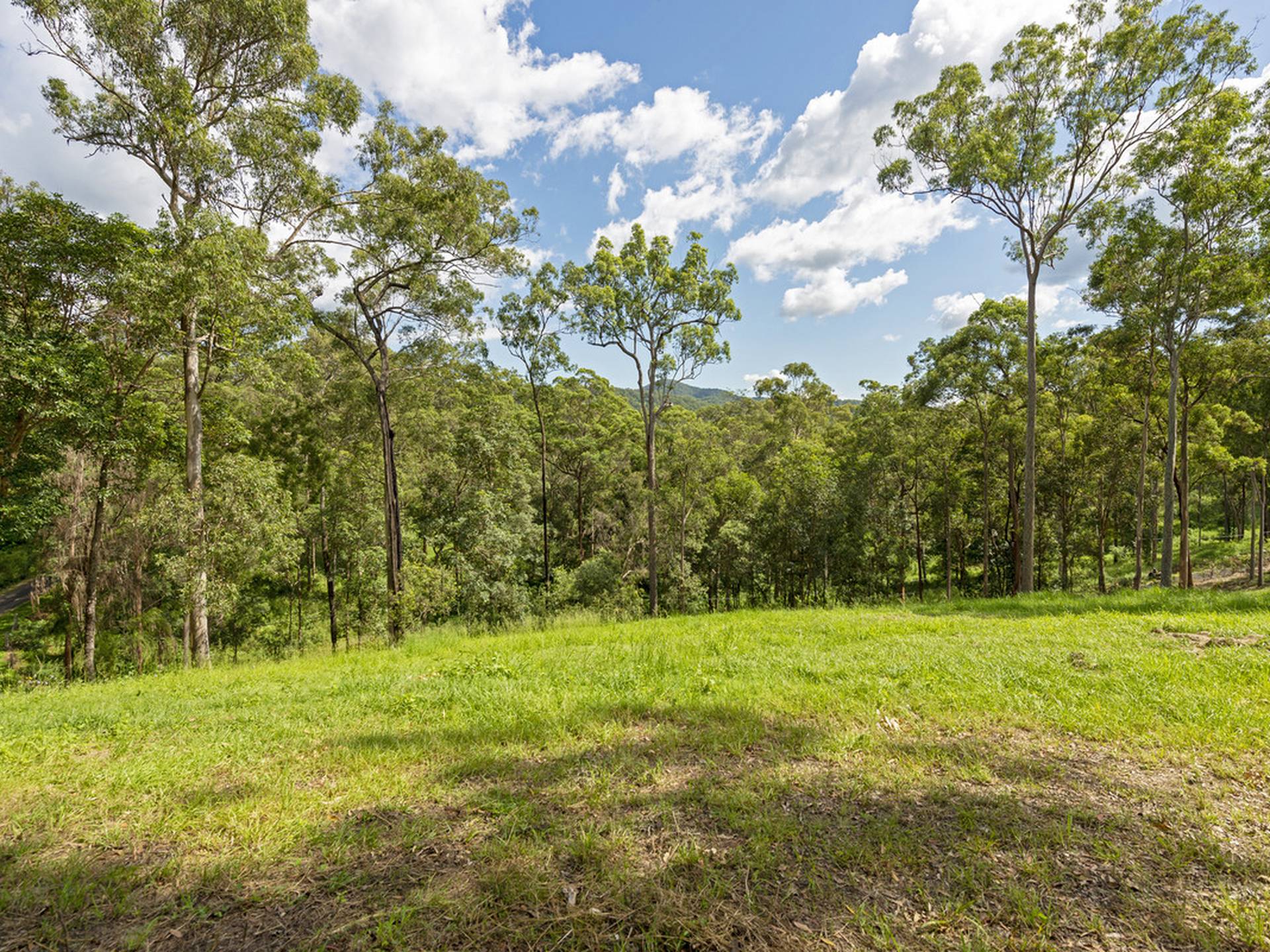 175 Brygon Creek Drive, UPPER COOMERA