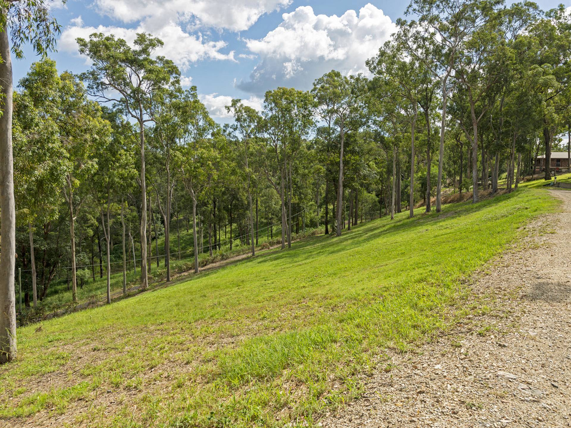 175 Brygon Creek Drive, UPPER COOMERA