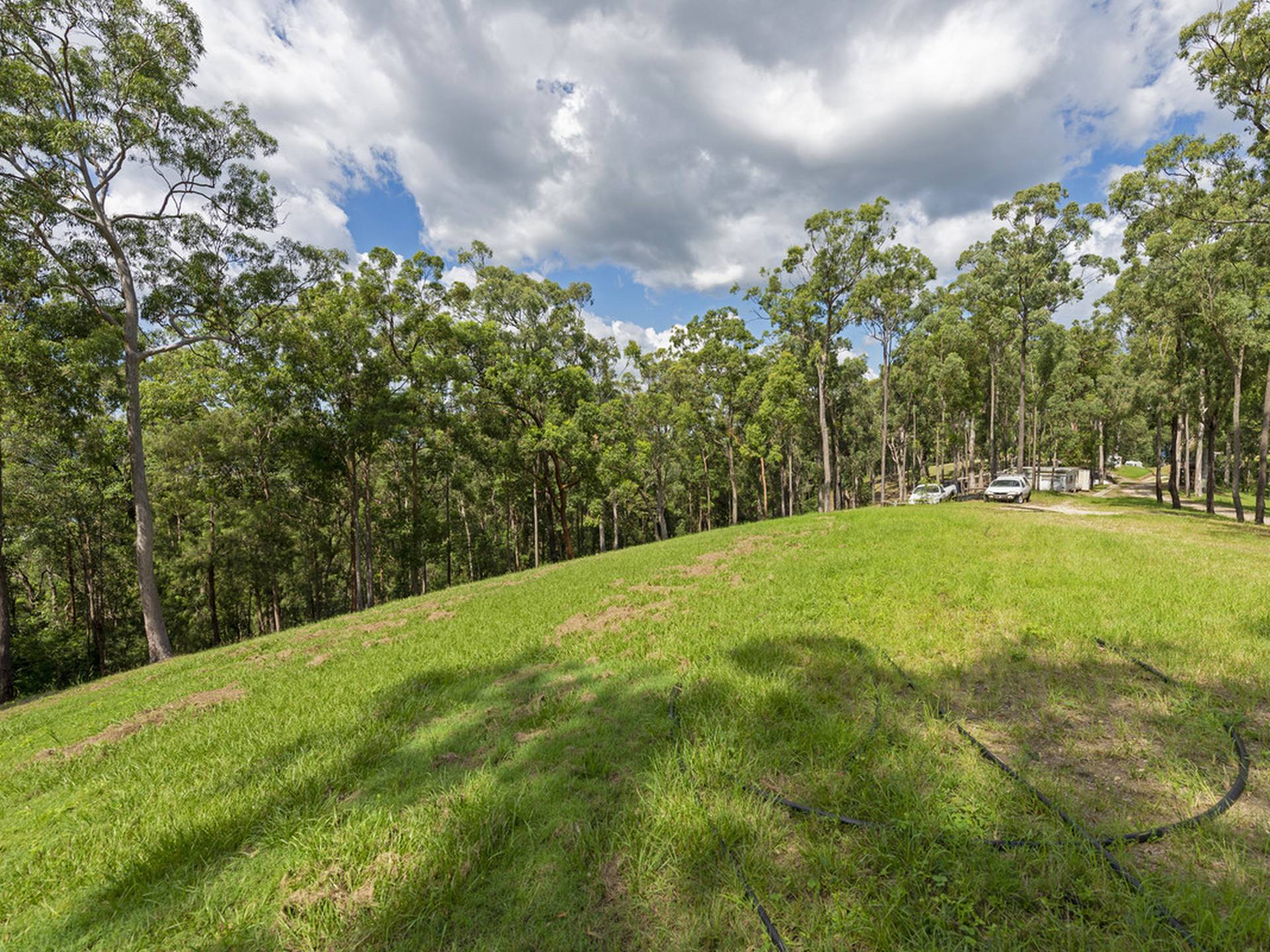175 Brygon Creek Drive, UPPER COOMERA