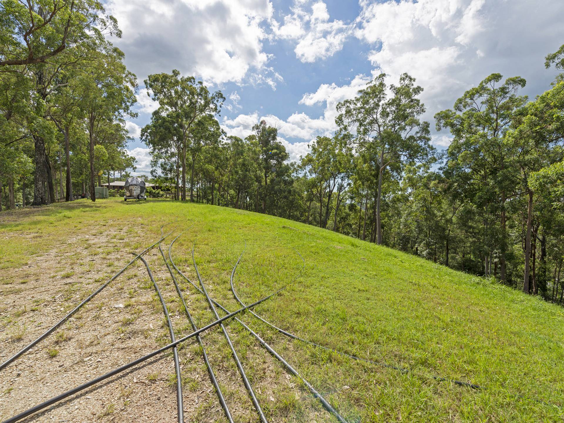 175 Brygon Creek Drive, UPPER COOMERA