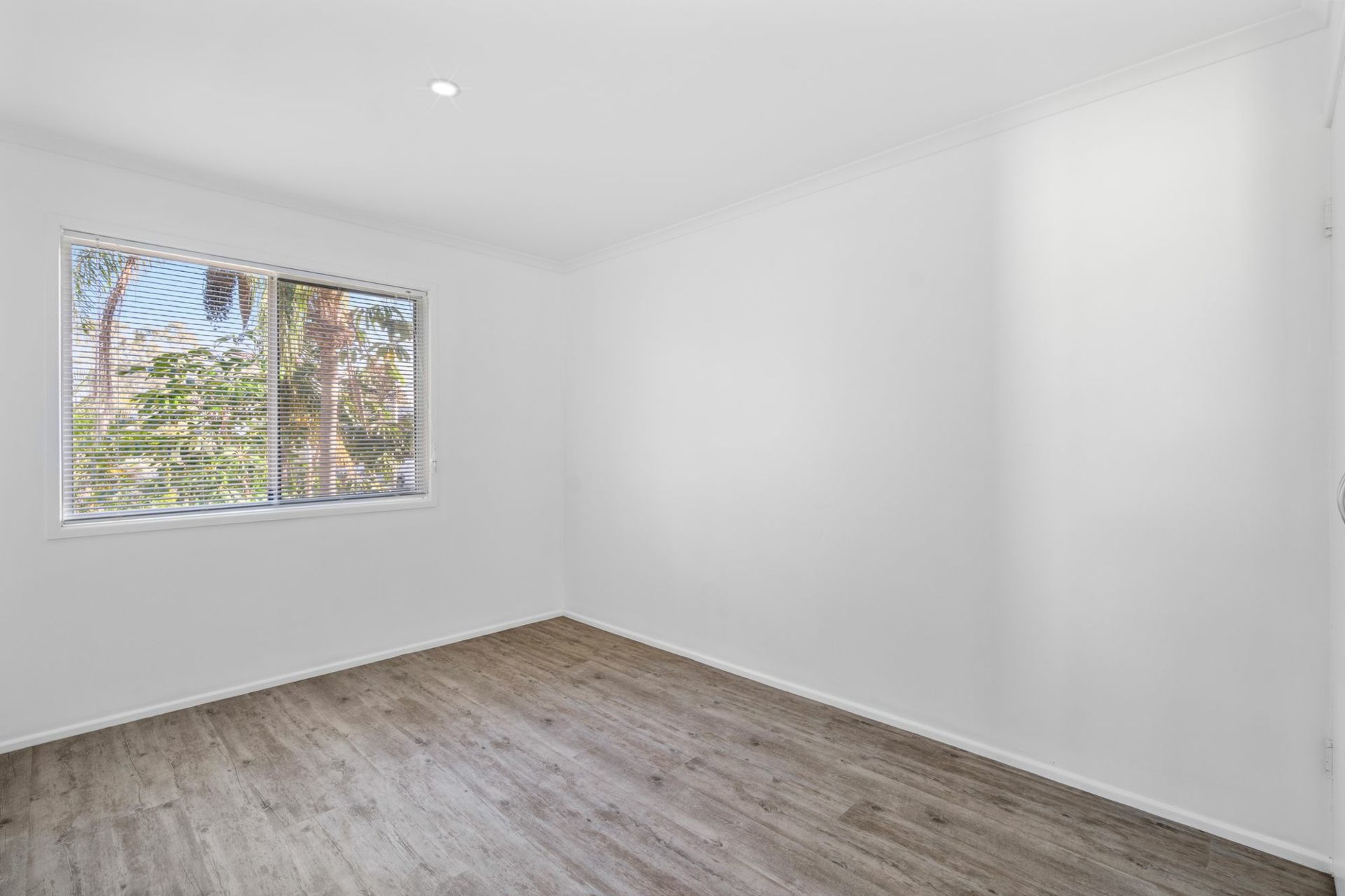 3 Manfred Street — photo 6 of 10