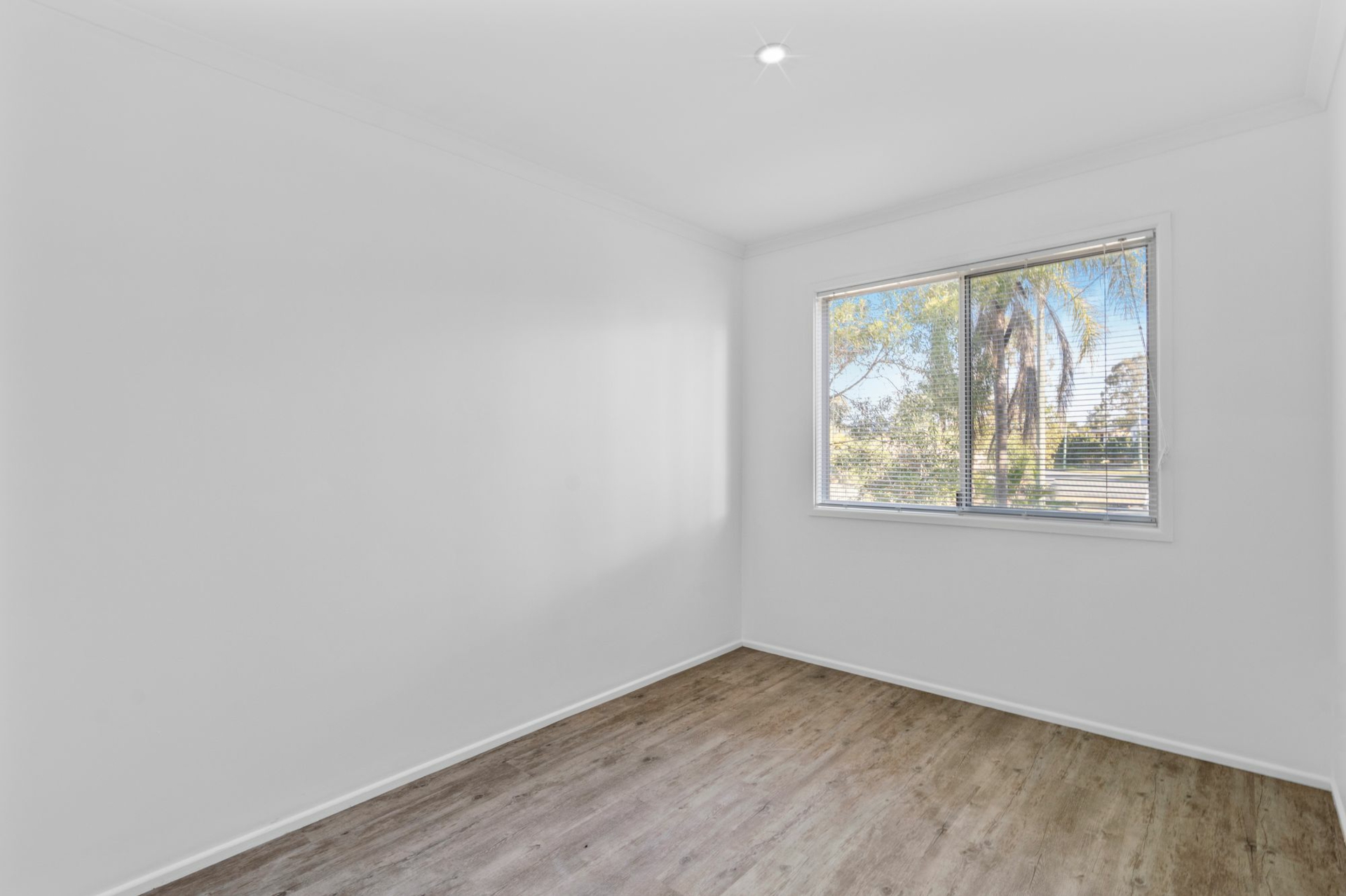 3 Manfred Street — photo 7 of 10