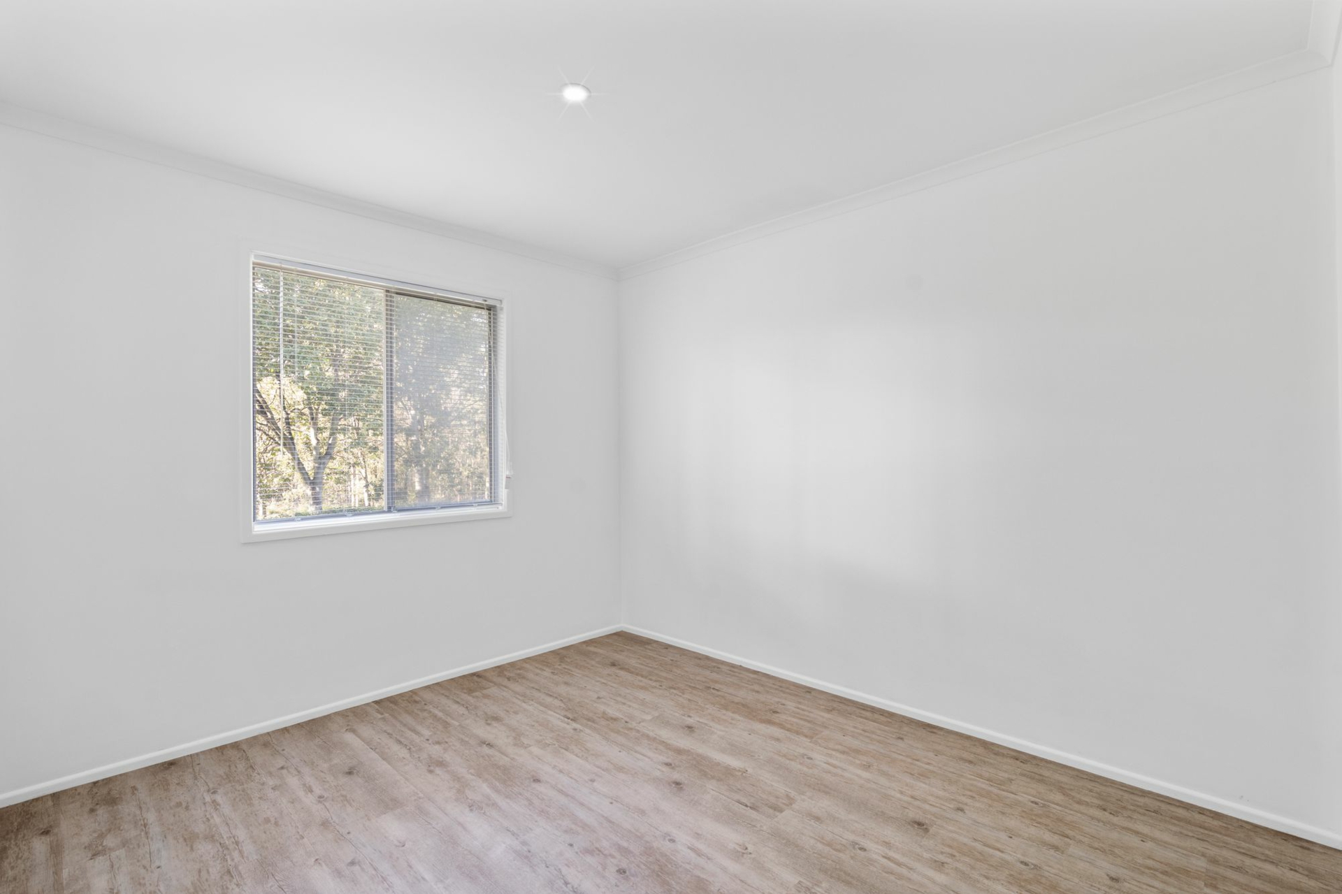 3 Manfred Street — photo 8 of 10