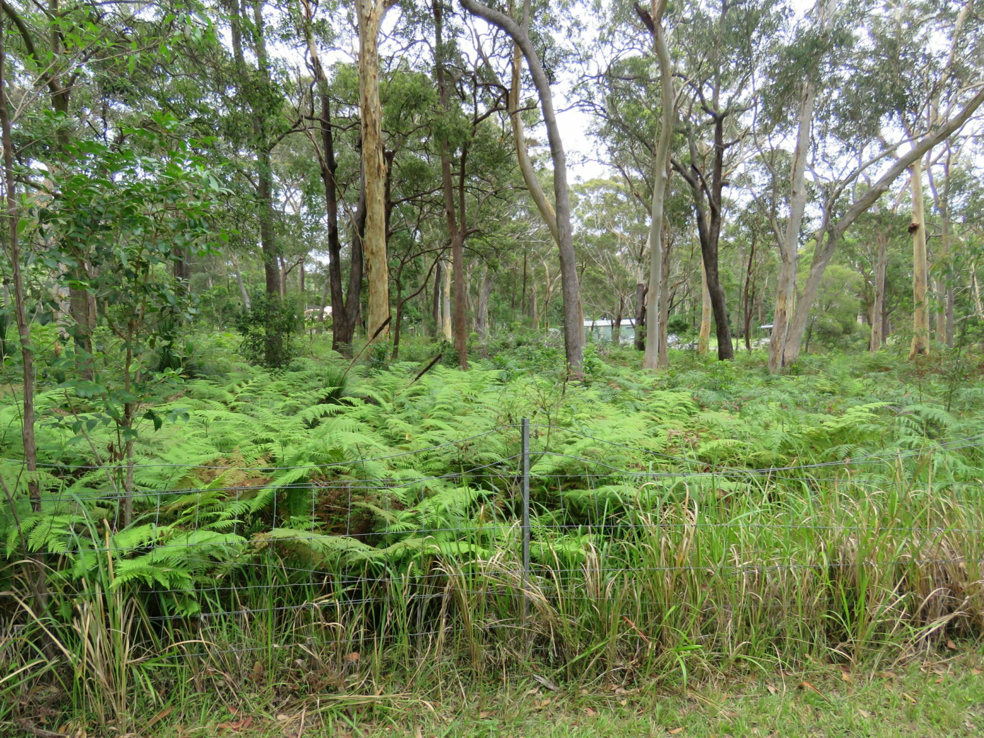 24 Bullocks Quarry Road, Arakoon