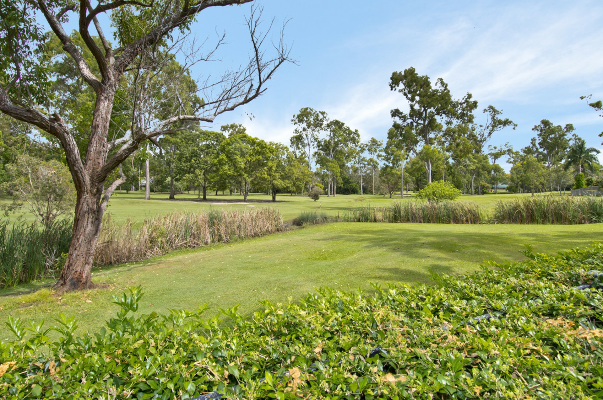 5 Sorell Place, HELENSVALE