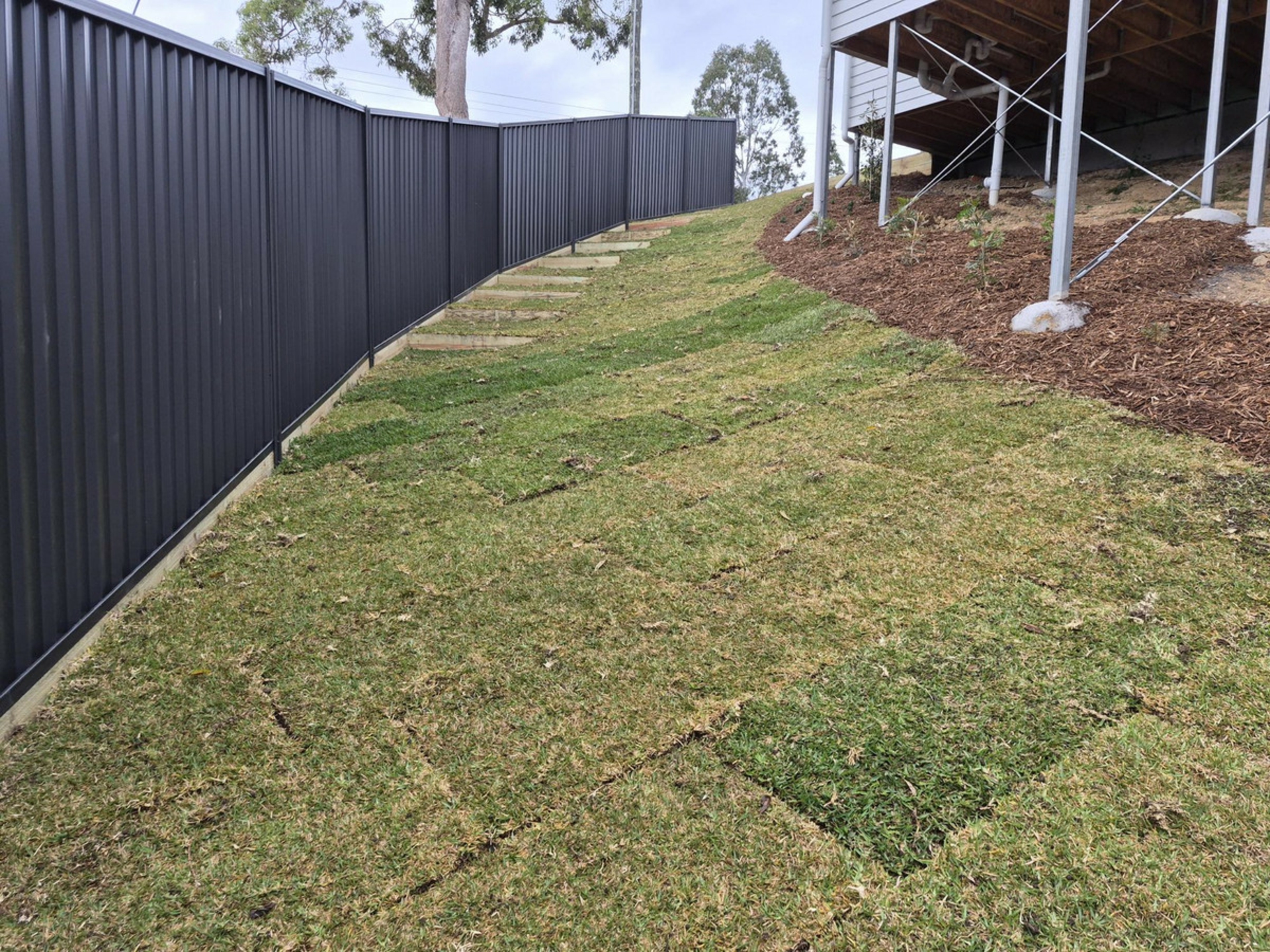 254A Cotlew Street, Ashmore