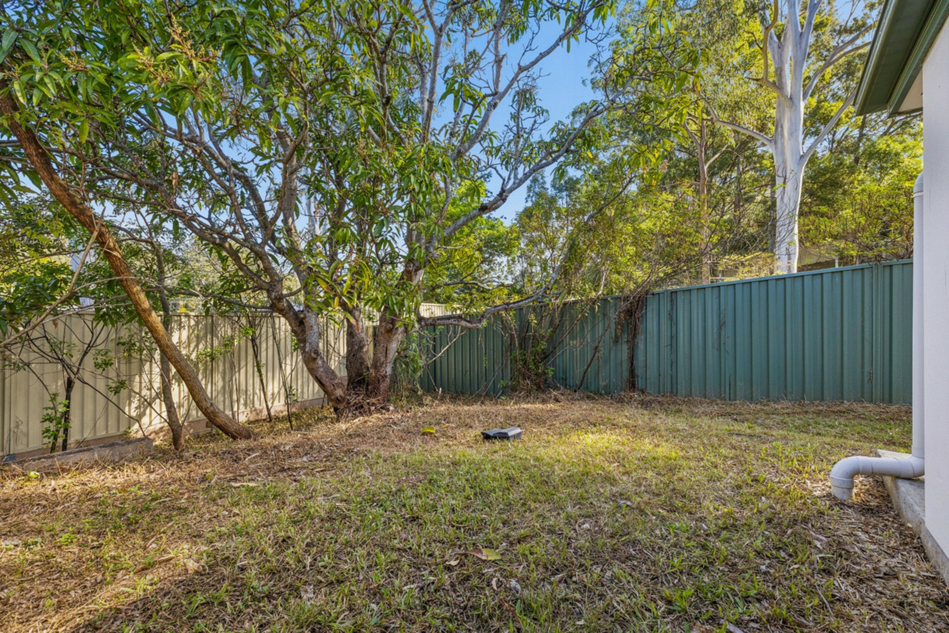 2/4 Dampier Court — photo 19 of 29