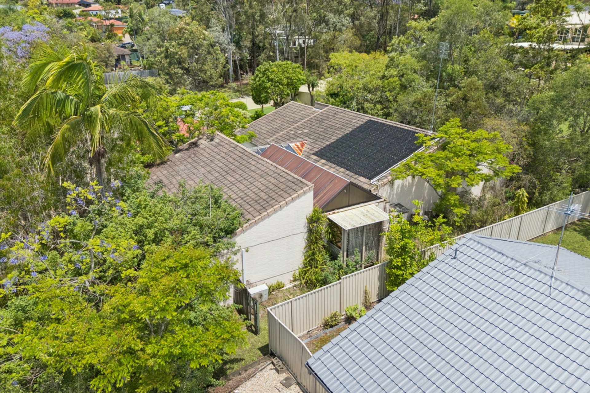 59 Lindfield Road — photo 10 of 16