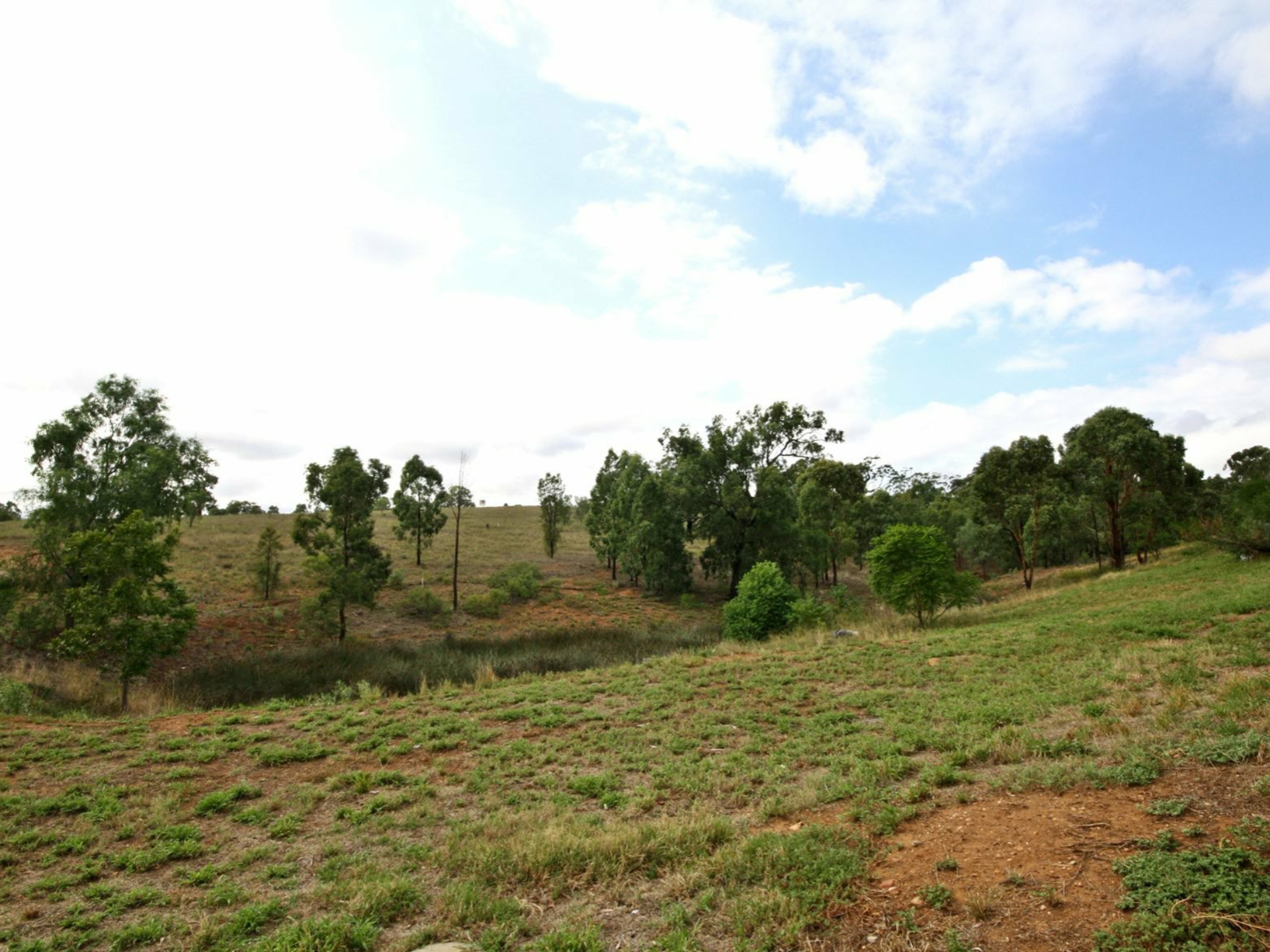 11 Northview Circuit, Muswellbrook