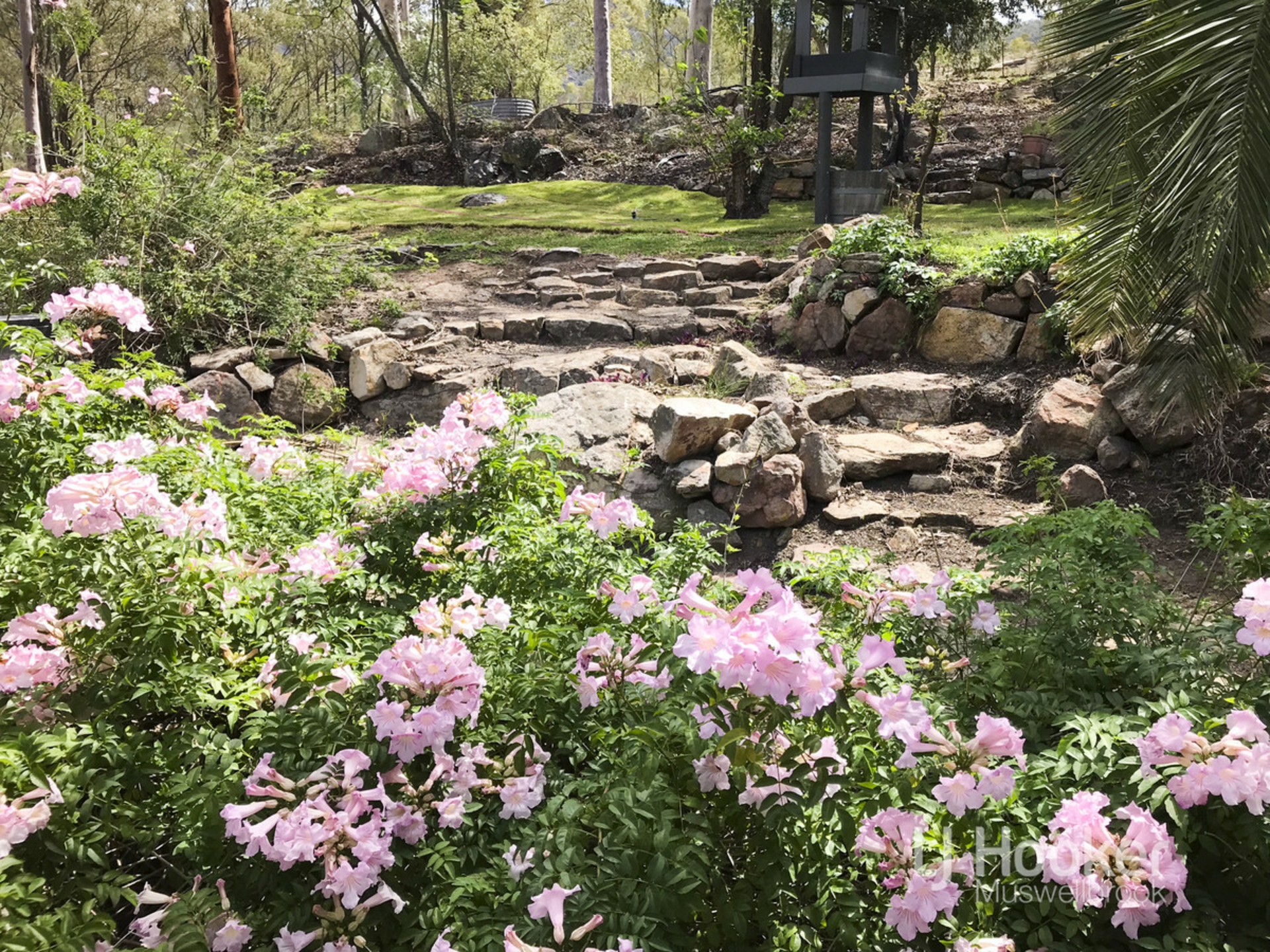 1498 Castlerock Road, CASTLE ROCK