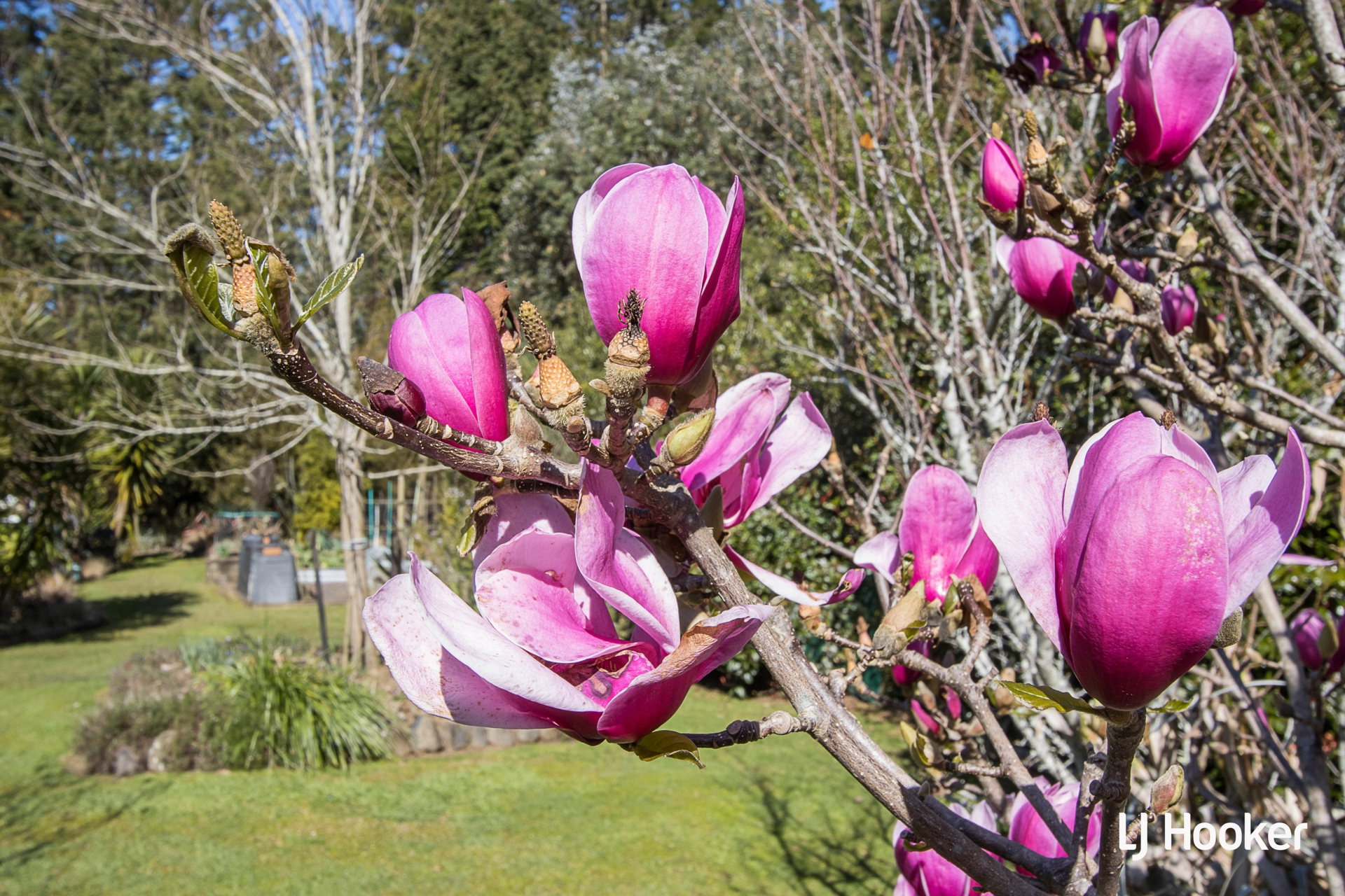 30a Lawrence Road, WAIHI