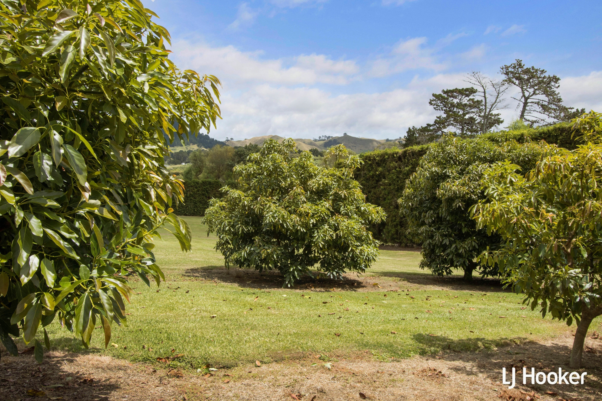 55a Steele Road, ATHENREE