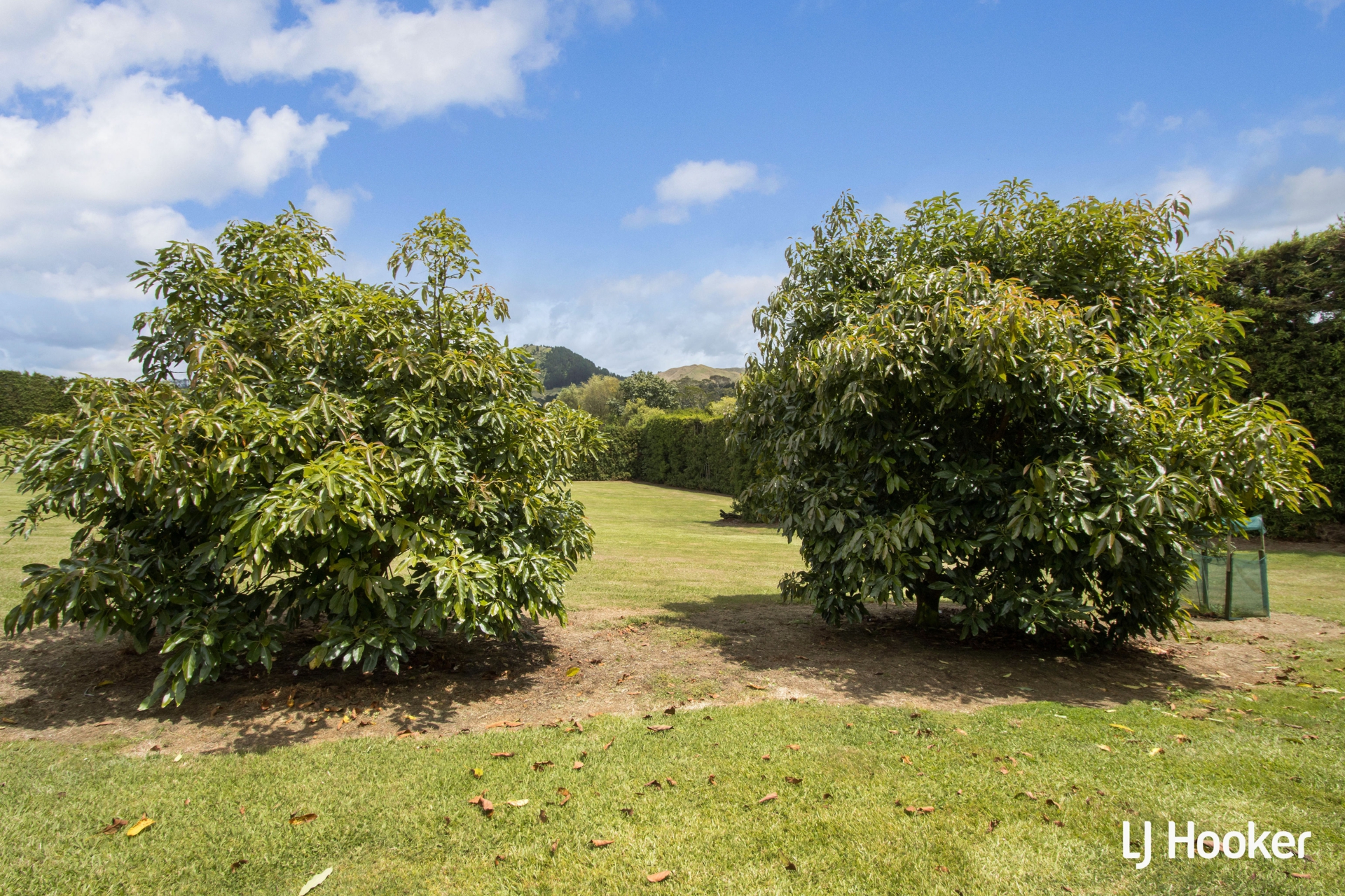 55a Steele Road, ATHENREE