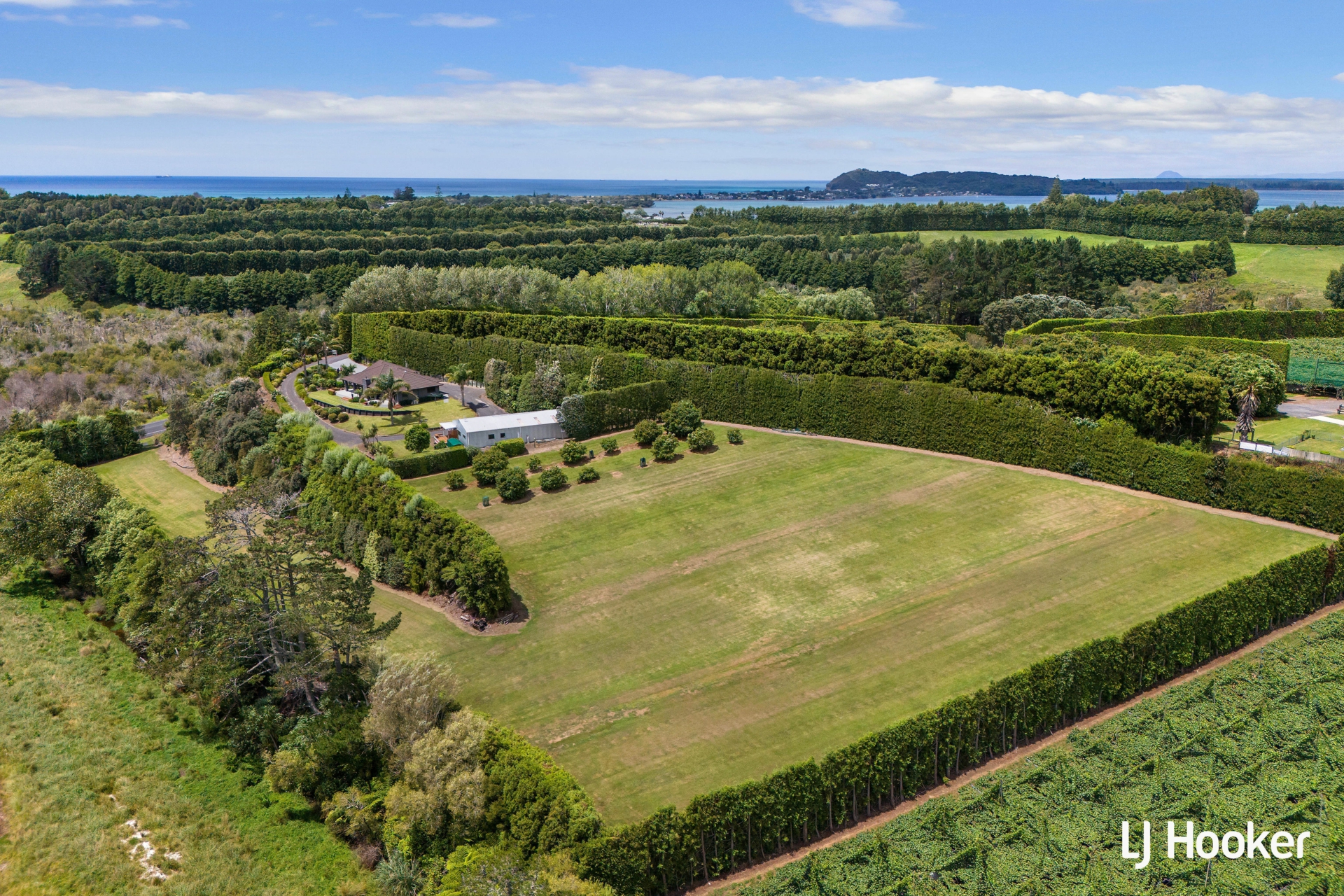 55a Steele Road, ATHENREE